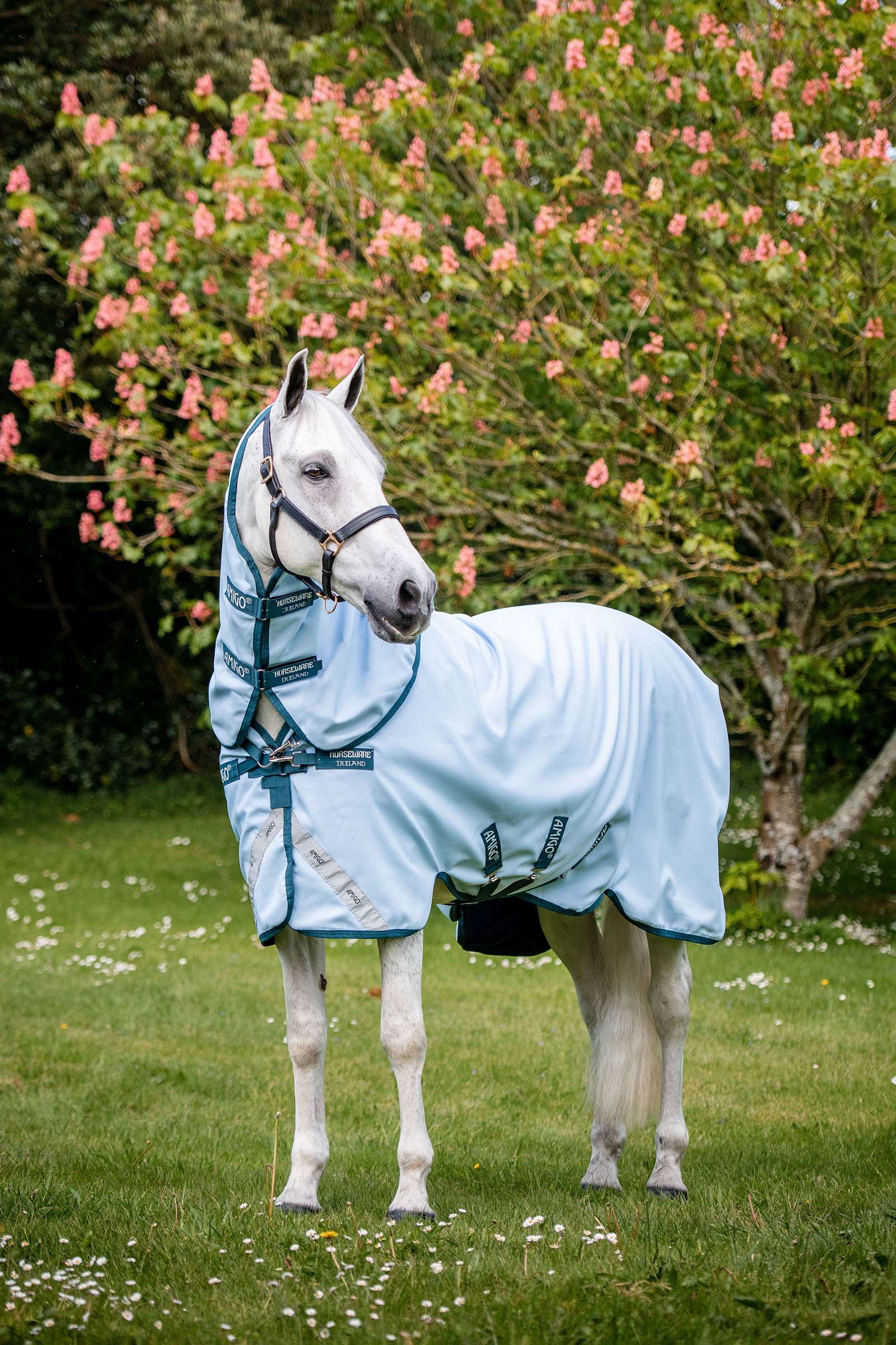 Manta de Exterior Tinte de Planta Horseware Amigo, 50g