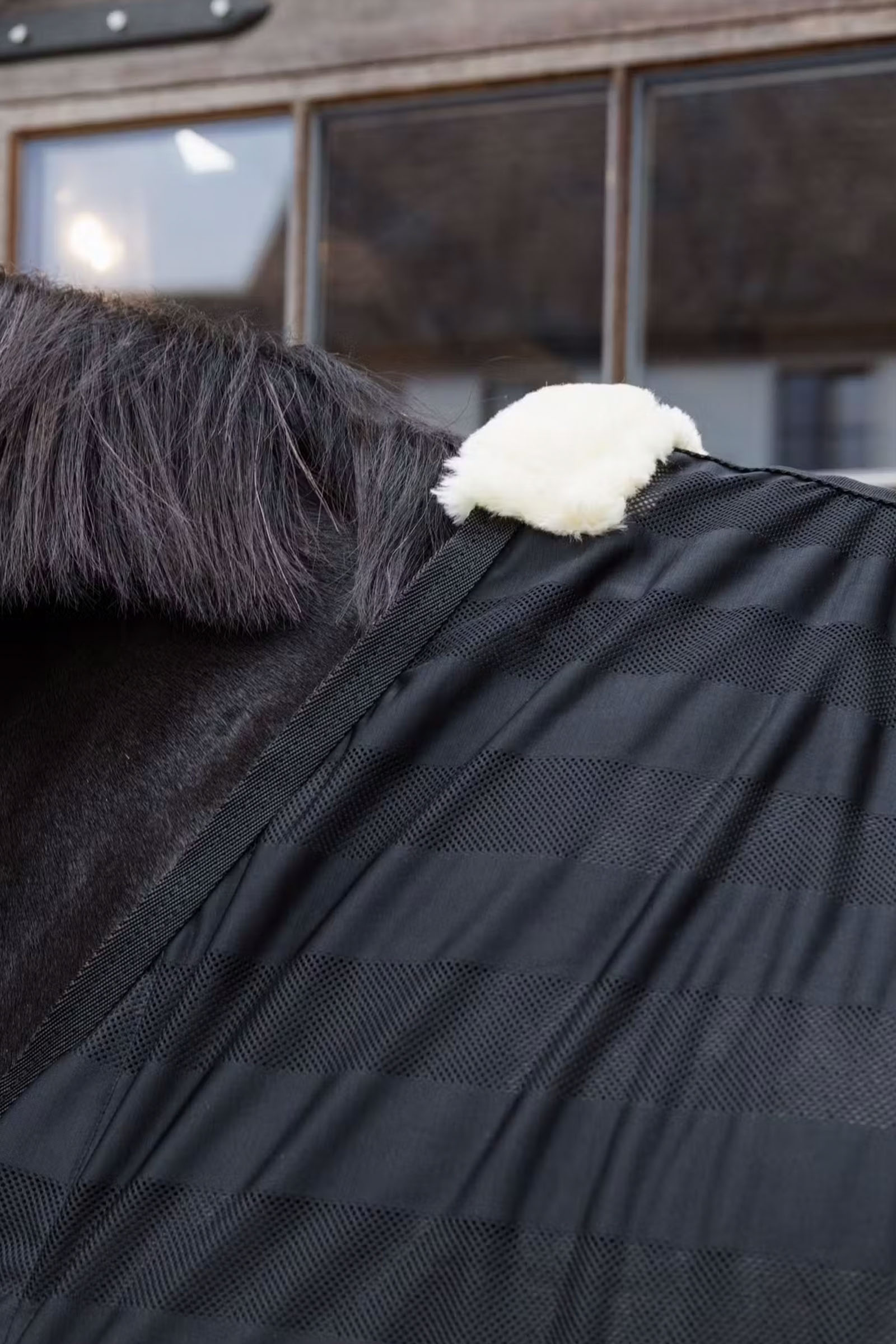 Kentucky Horsewear manta antimoscas ligera a rayas de malla