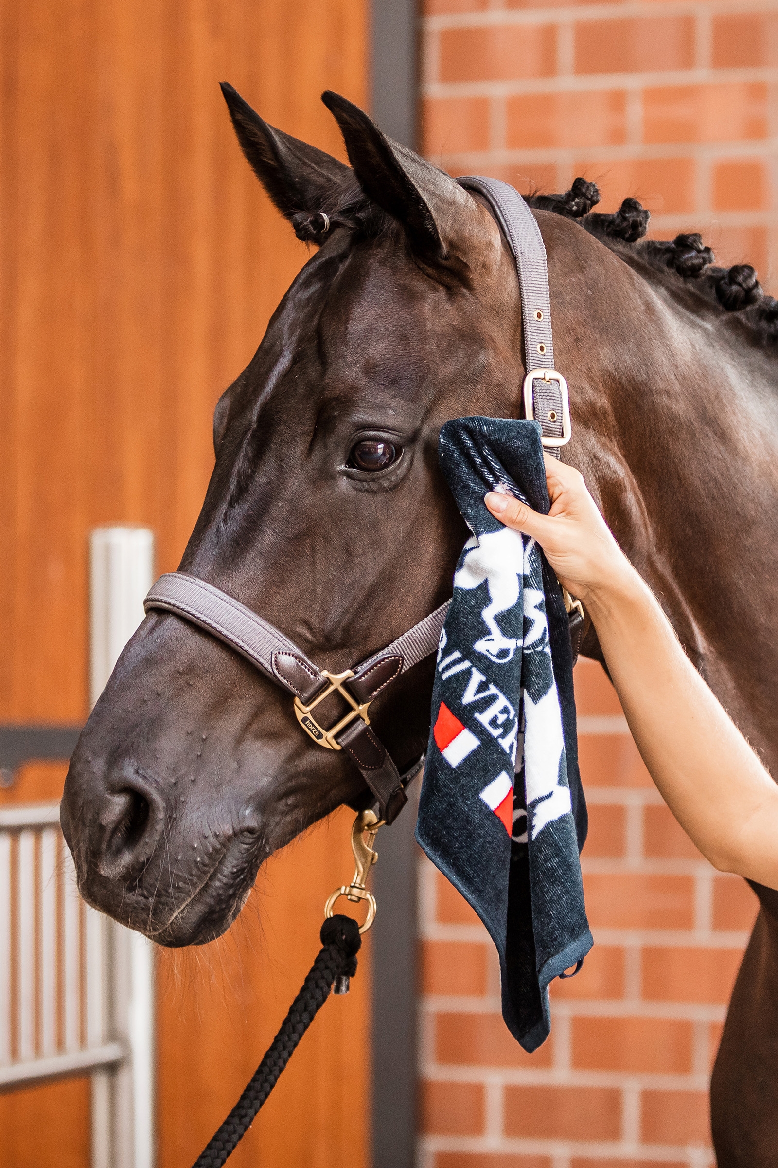 Toalla de Mano B Vertigo