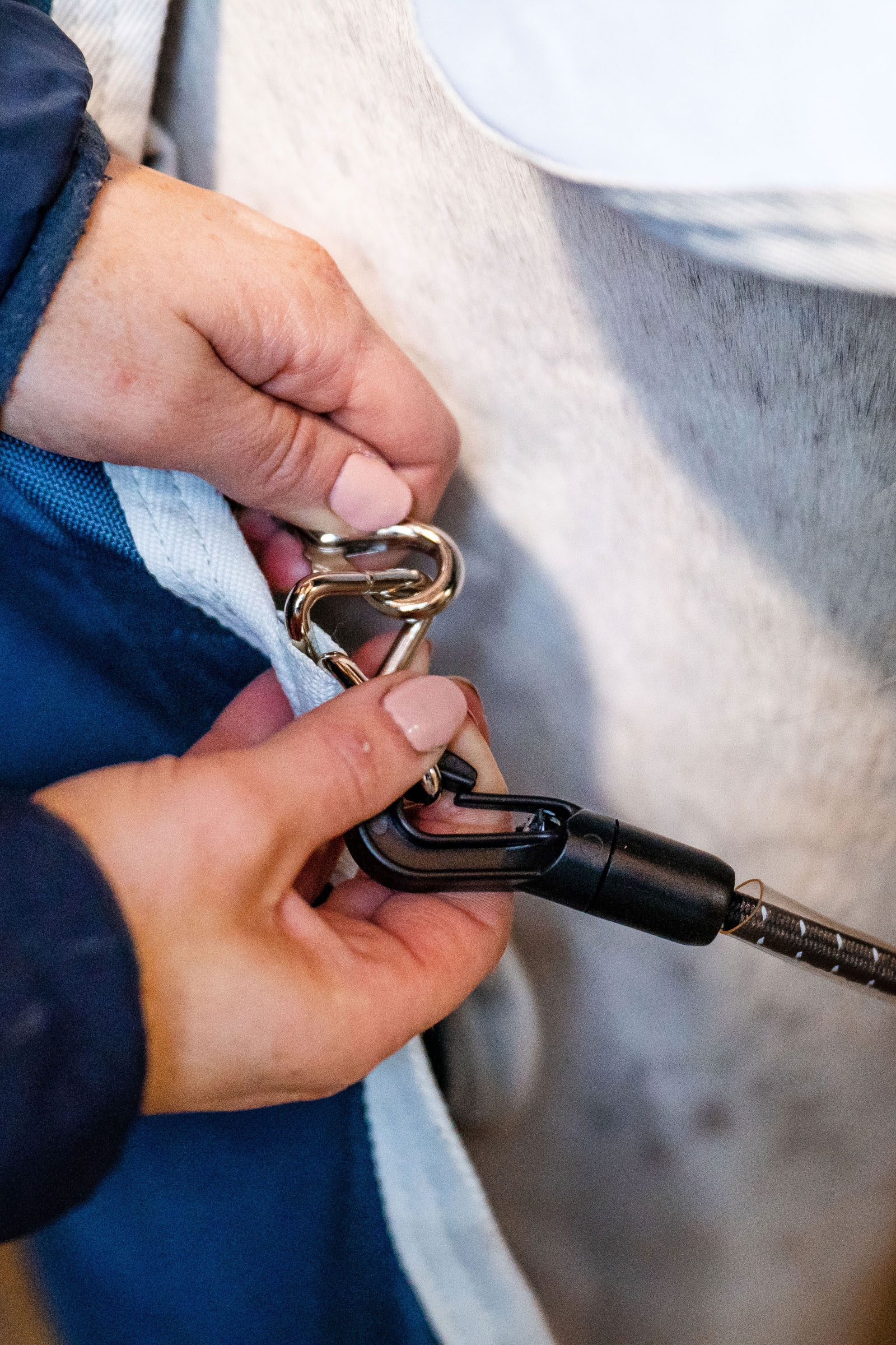 Revestimiento Horseware Eco, 100g