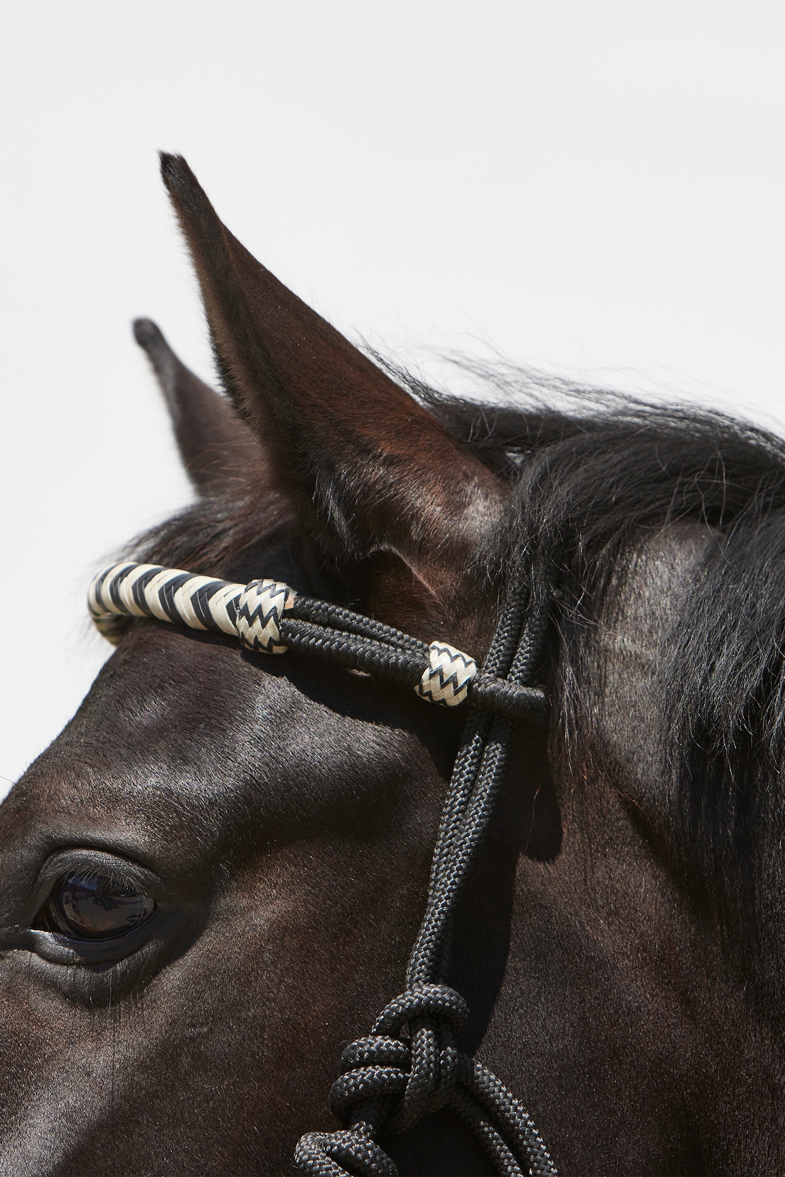 Cabestro de cuerda Kieffer Enya