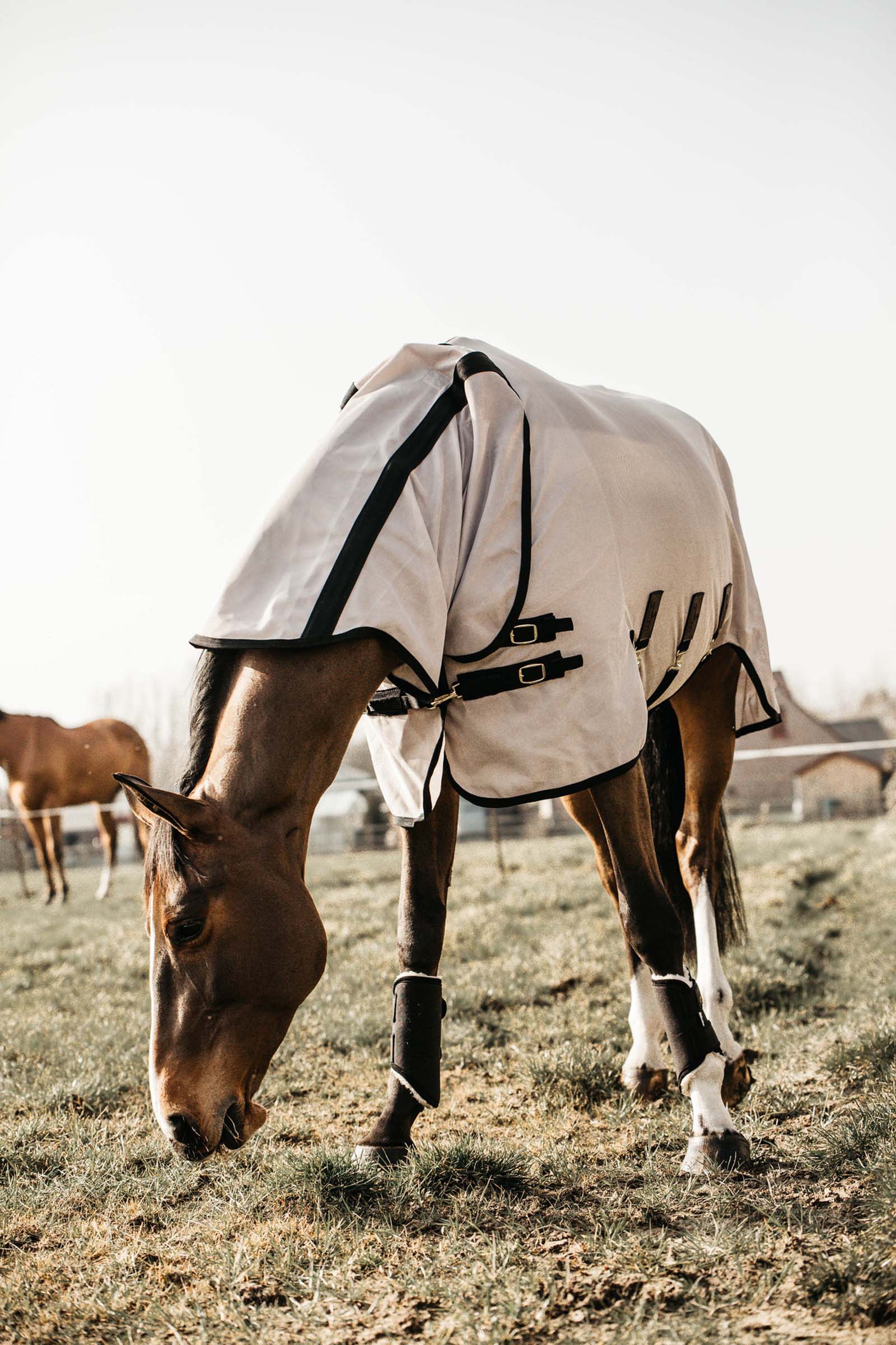 Kentucky Horsewear Manta de malla con mosca