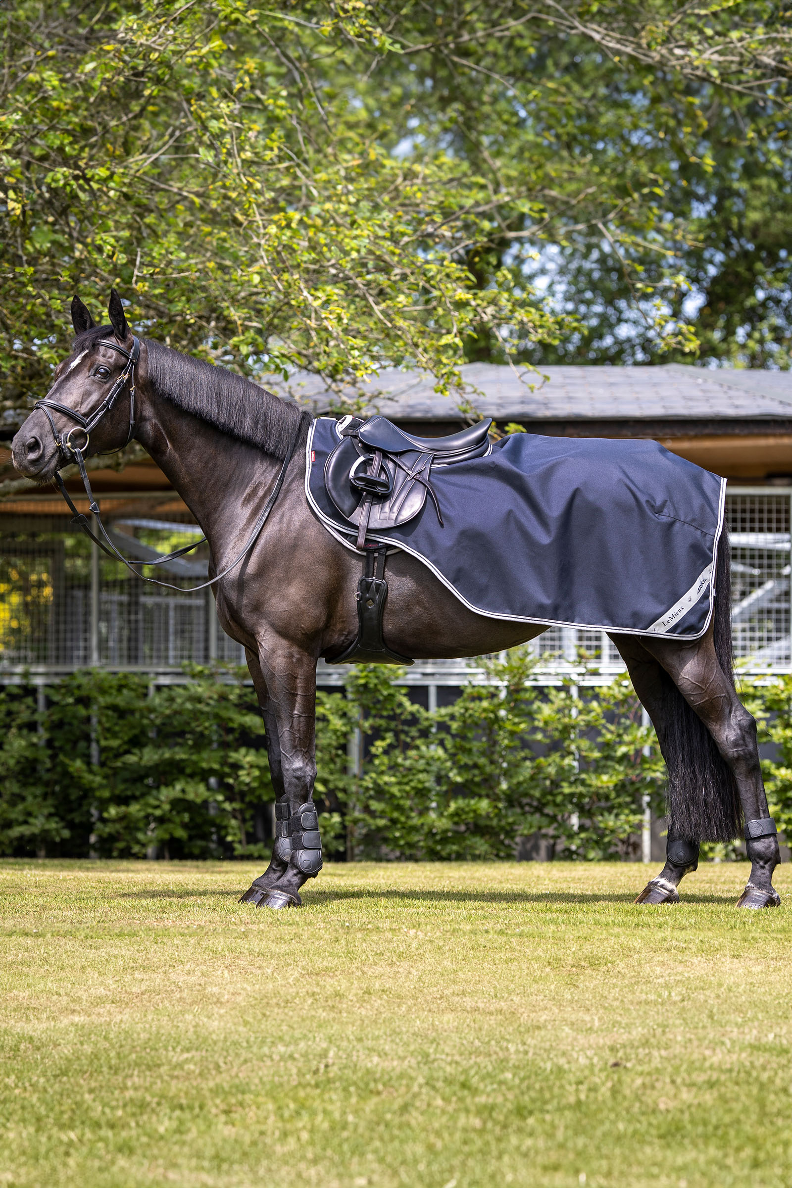 LeMieux Arika manta de entrenamiento