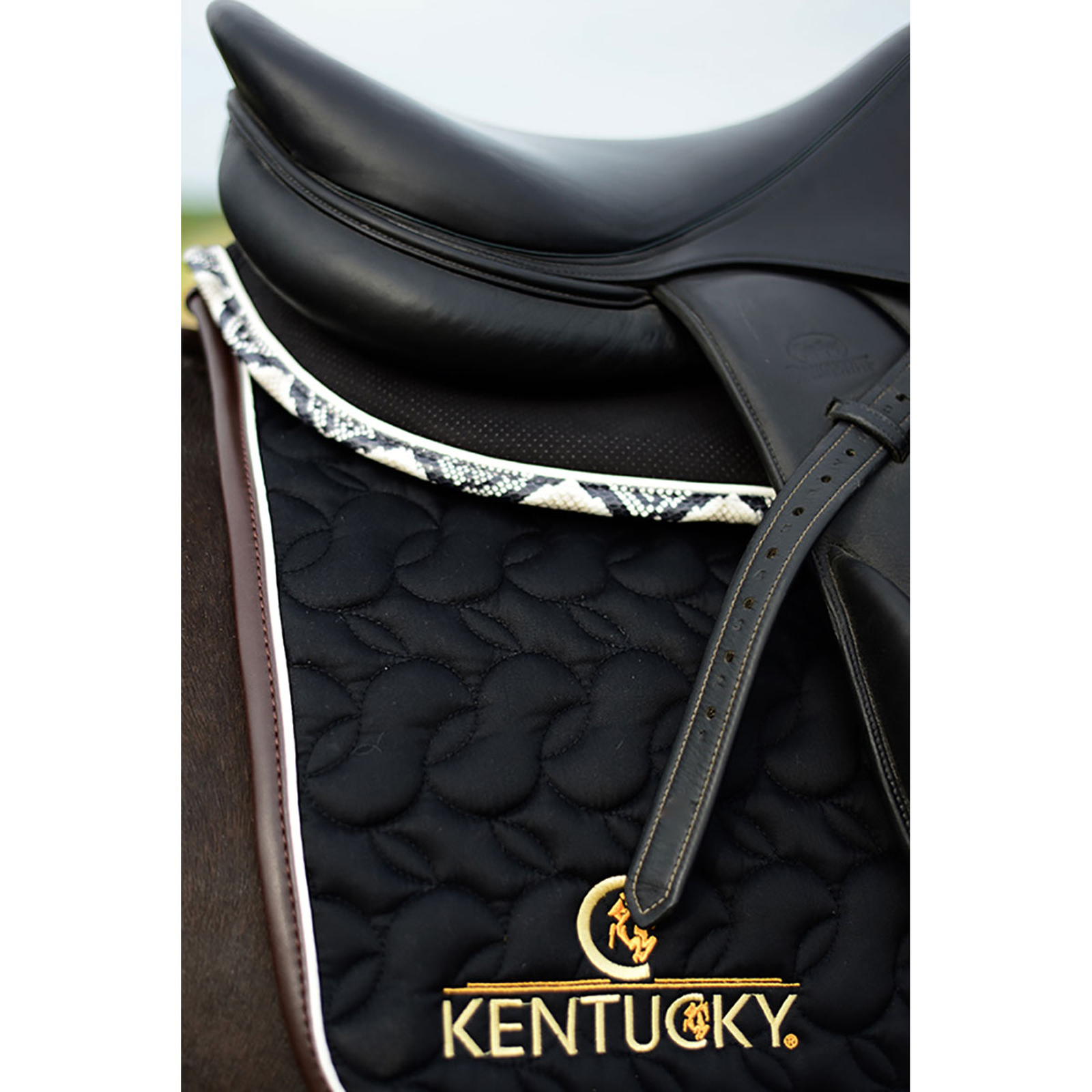 Kentucky Horsewear Saddle Pad Absorber