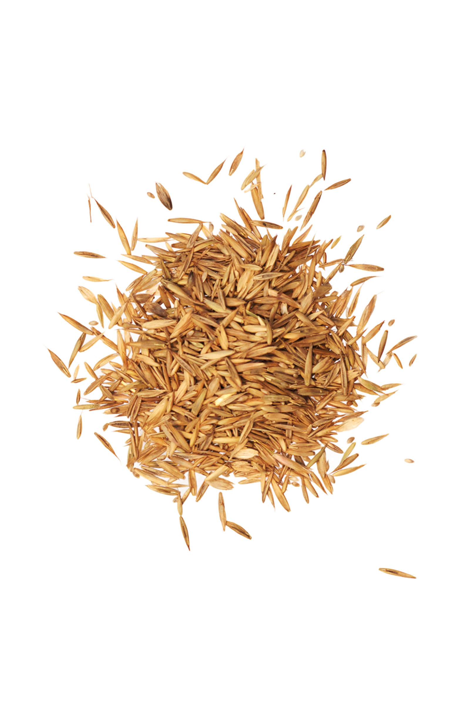 Semillas Agrobs Pre Alpin 10kg