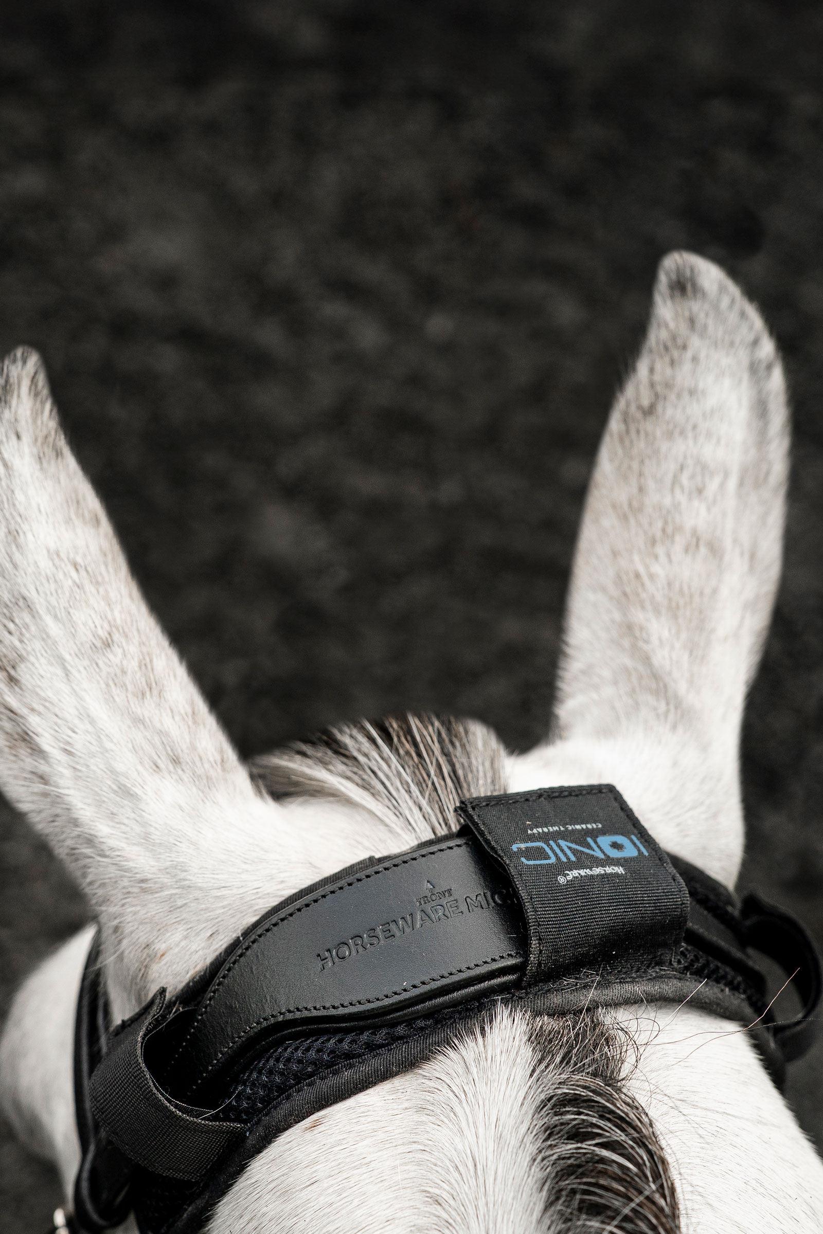 Horseware Ionic protector de nuca