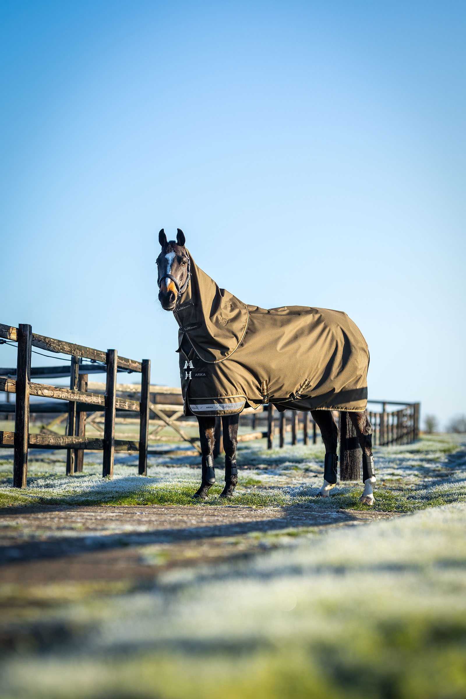 LeMieux Arika manta ripstop de exterior con cuello desmontable 50 g