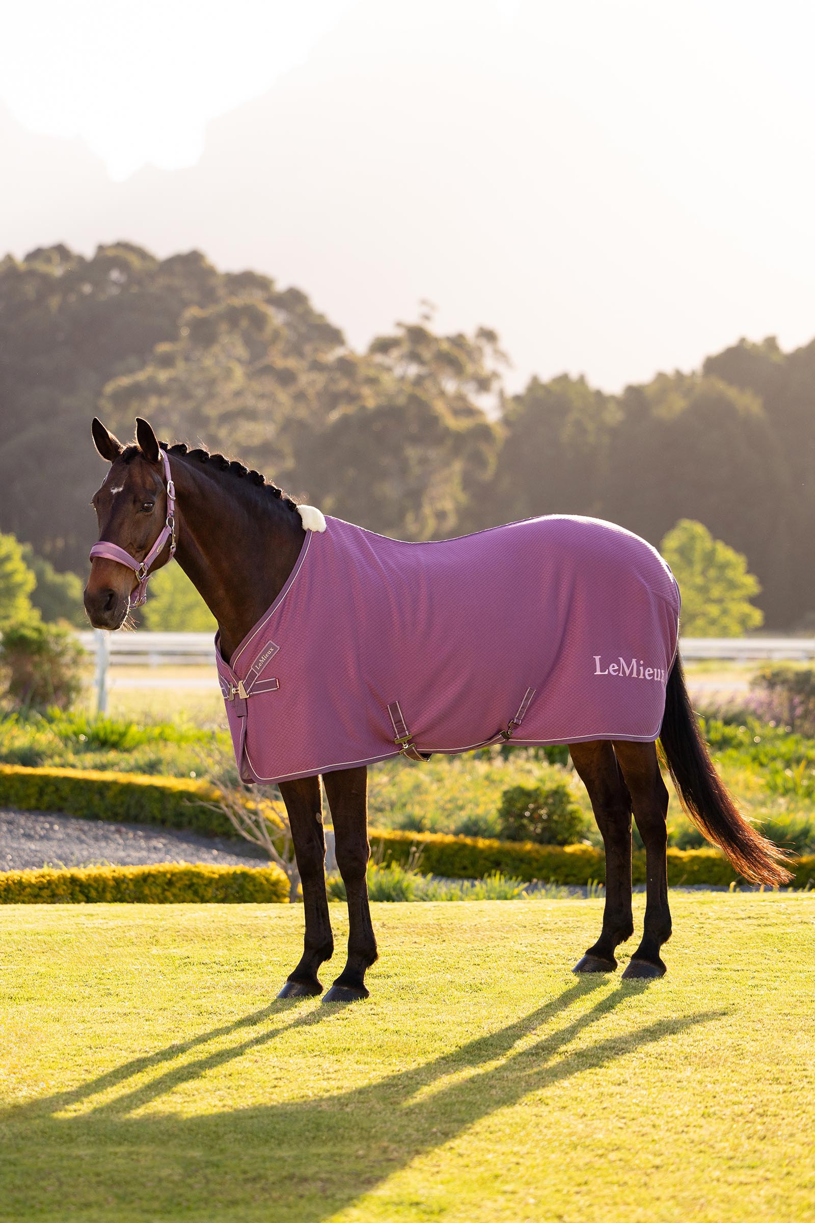 Mallow LeMieux Kudos manta secante de bamb&uacute;