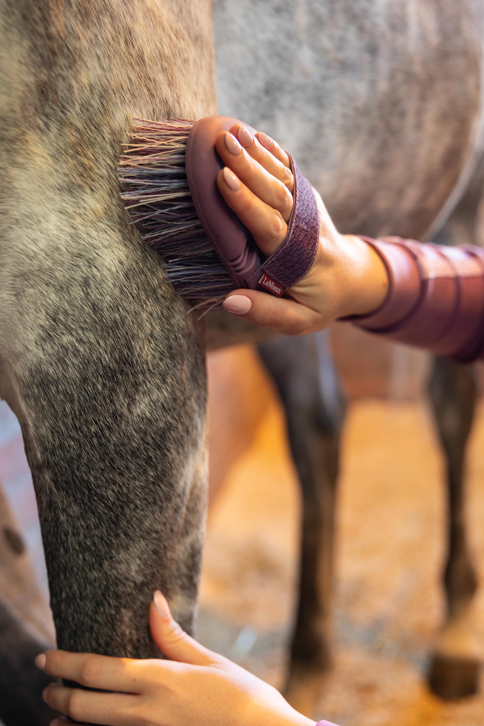 LeMieux Flexi Flicky cepillo