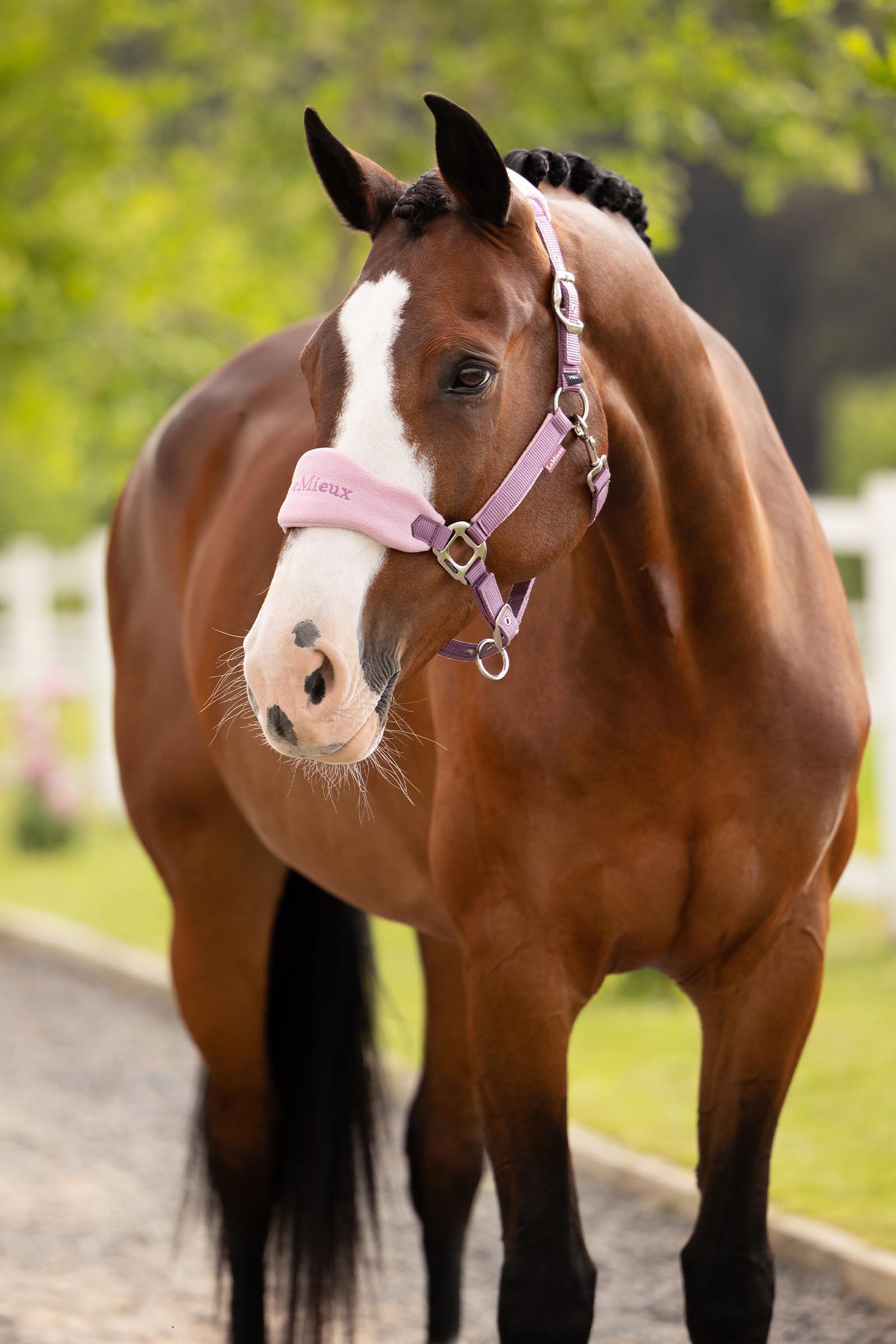 LeMieux Vogue set de cabezada y ramal