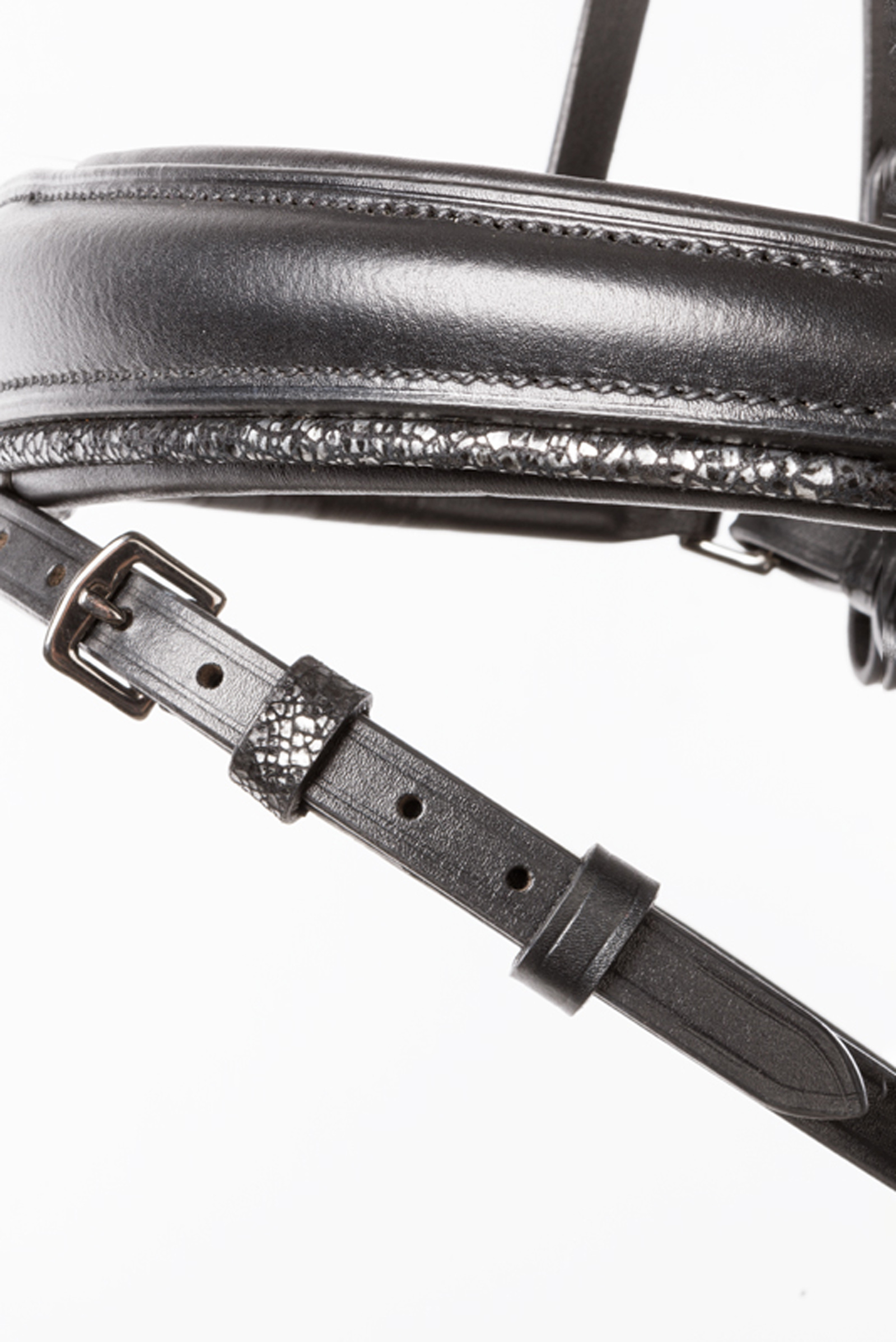 Kavalkade Victoria Cabezada