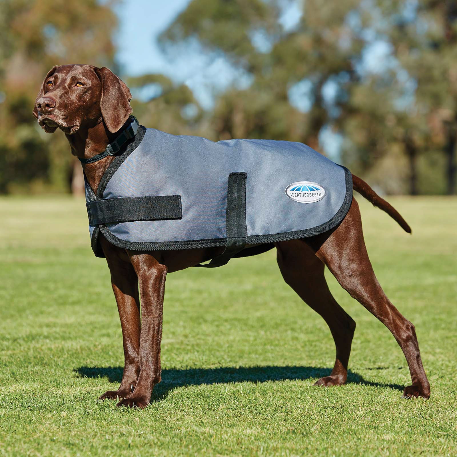 Abrigo para Perro Weatherbeeta Comfitec Classic (45-80cm)