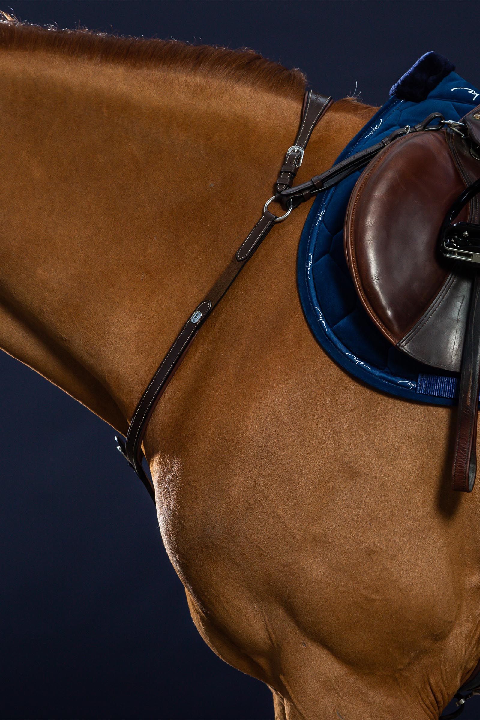 Dy'on Working pechopetral con puente