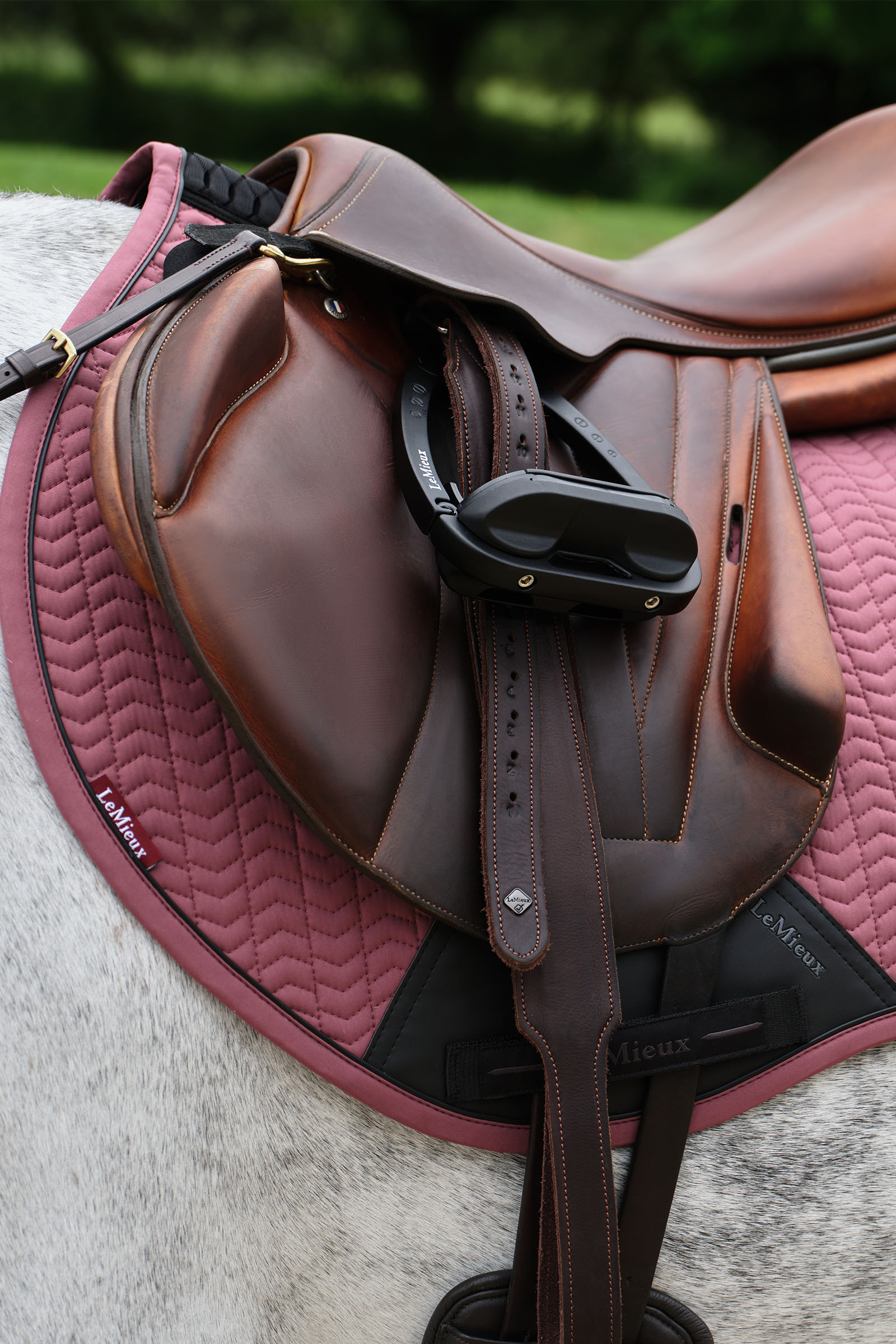 LeMieux Essence Eurojump Mantilla de Salto