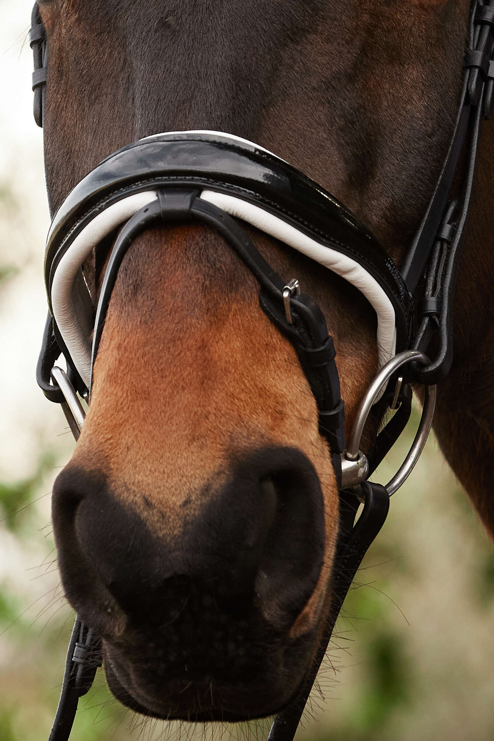 Kavalkade Charlotte Dressage Bridle Crank Noseband