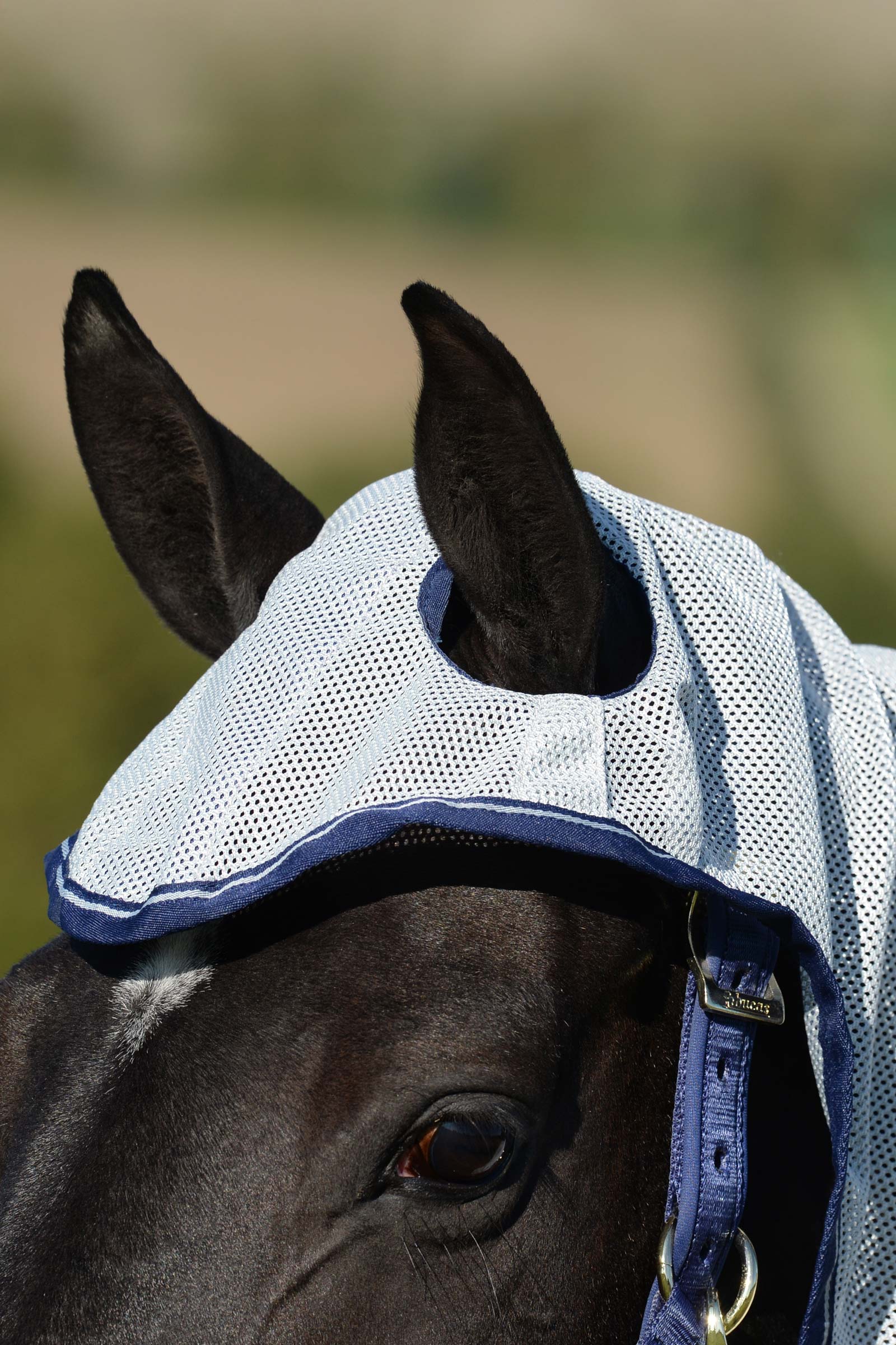 Bucas Buzz-Off X Big Neck manta anti-moscas con cuello fijo