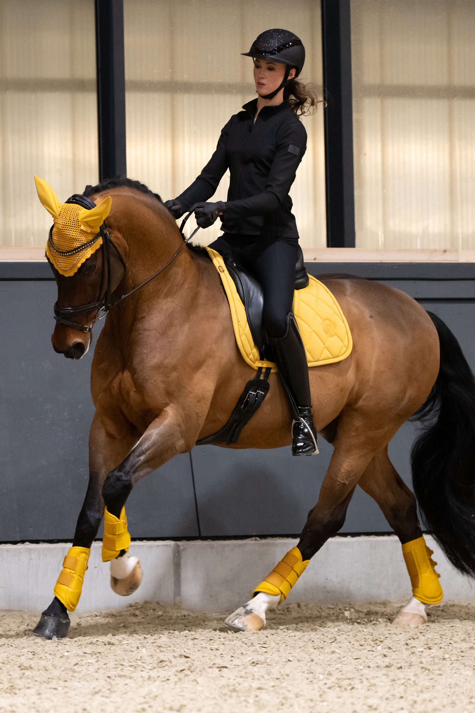 Eskadron Platinum 25 Pearls Orejeras caballos