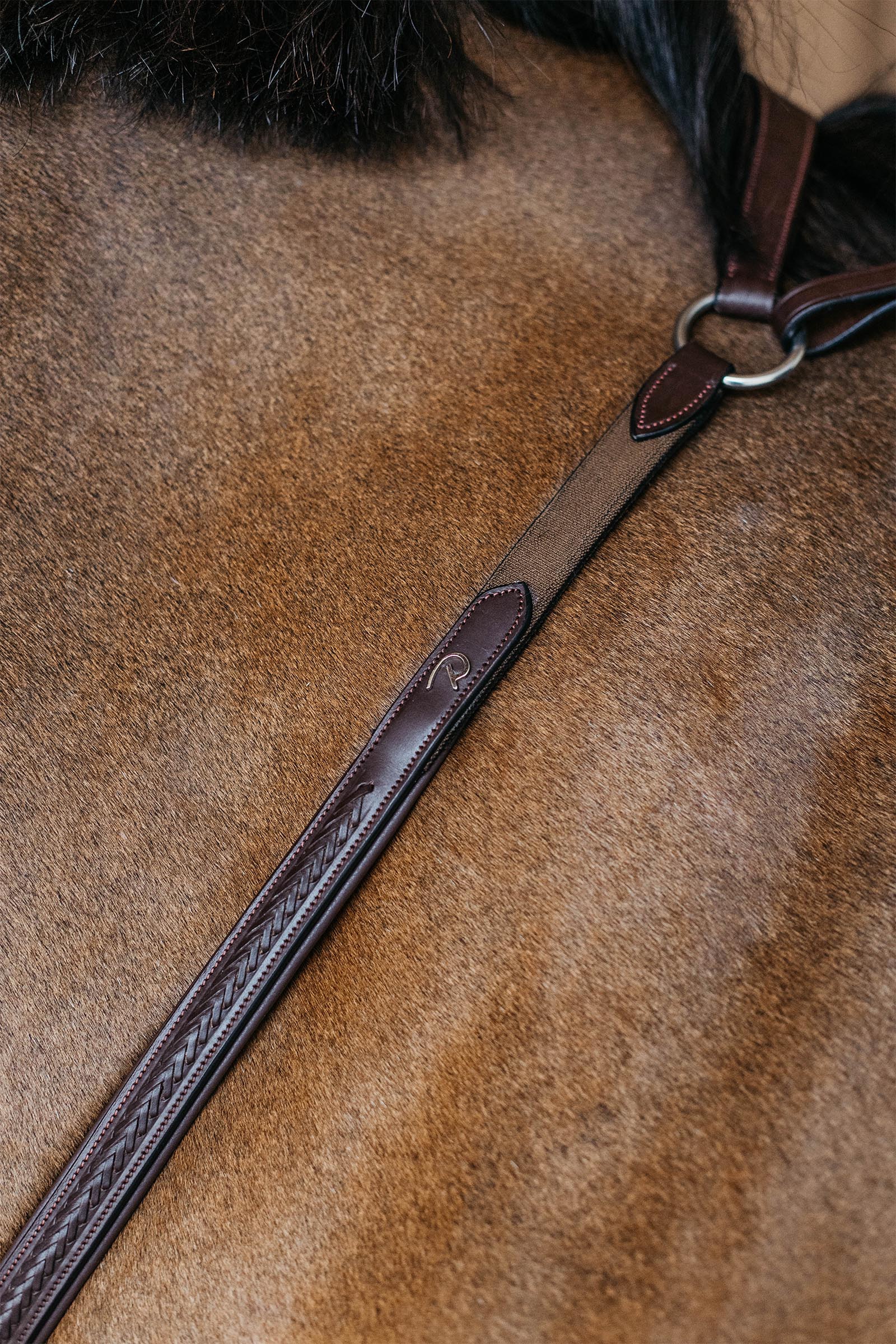 Dy'on New English pechopetral trenzado con puente