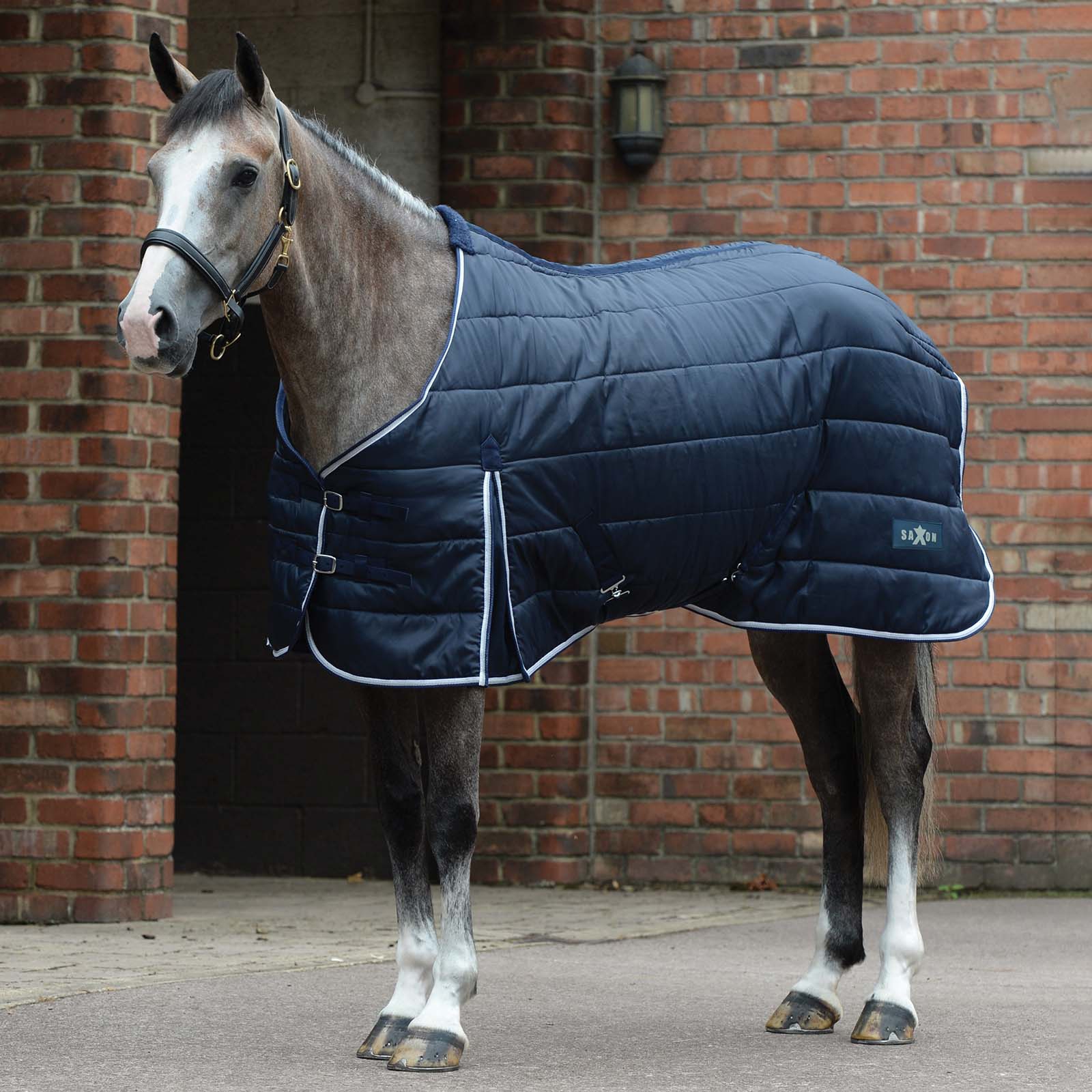 Manta de Cuadra Acolchada Canal Saxon, 200g