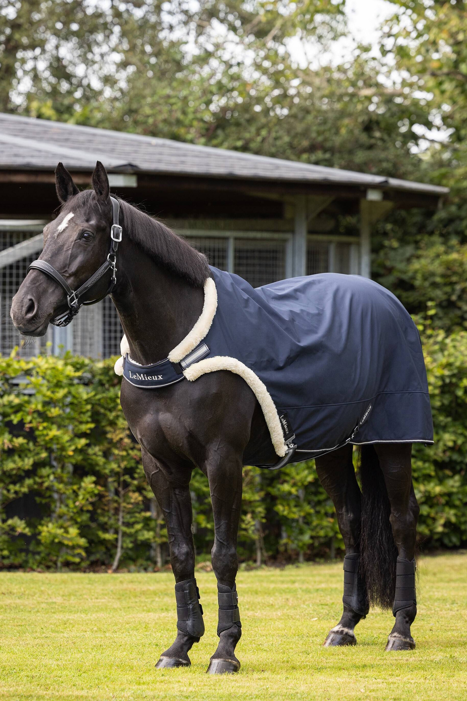 Manta de guía LeMieux