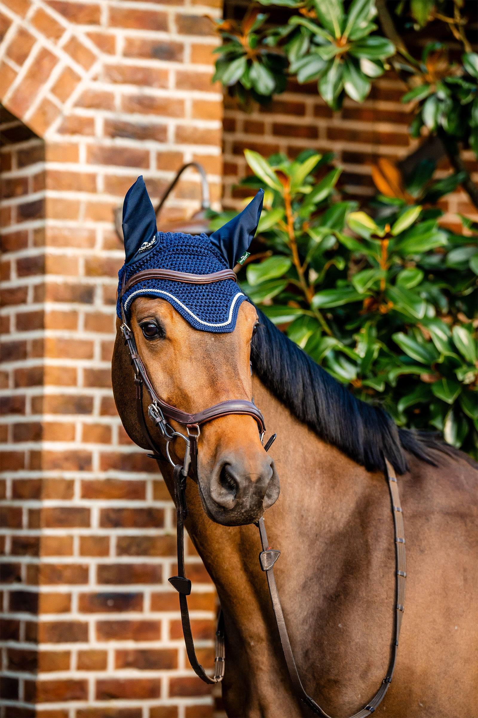 Horseware Signature capucha anti-moscas
