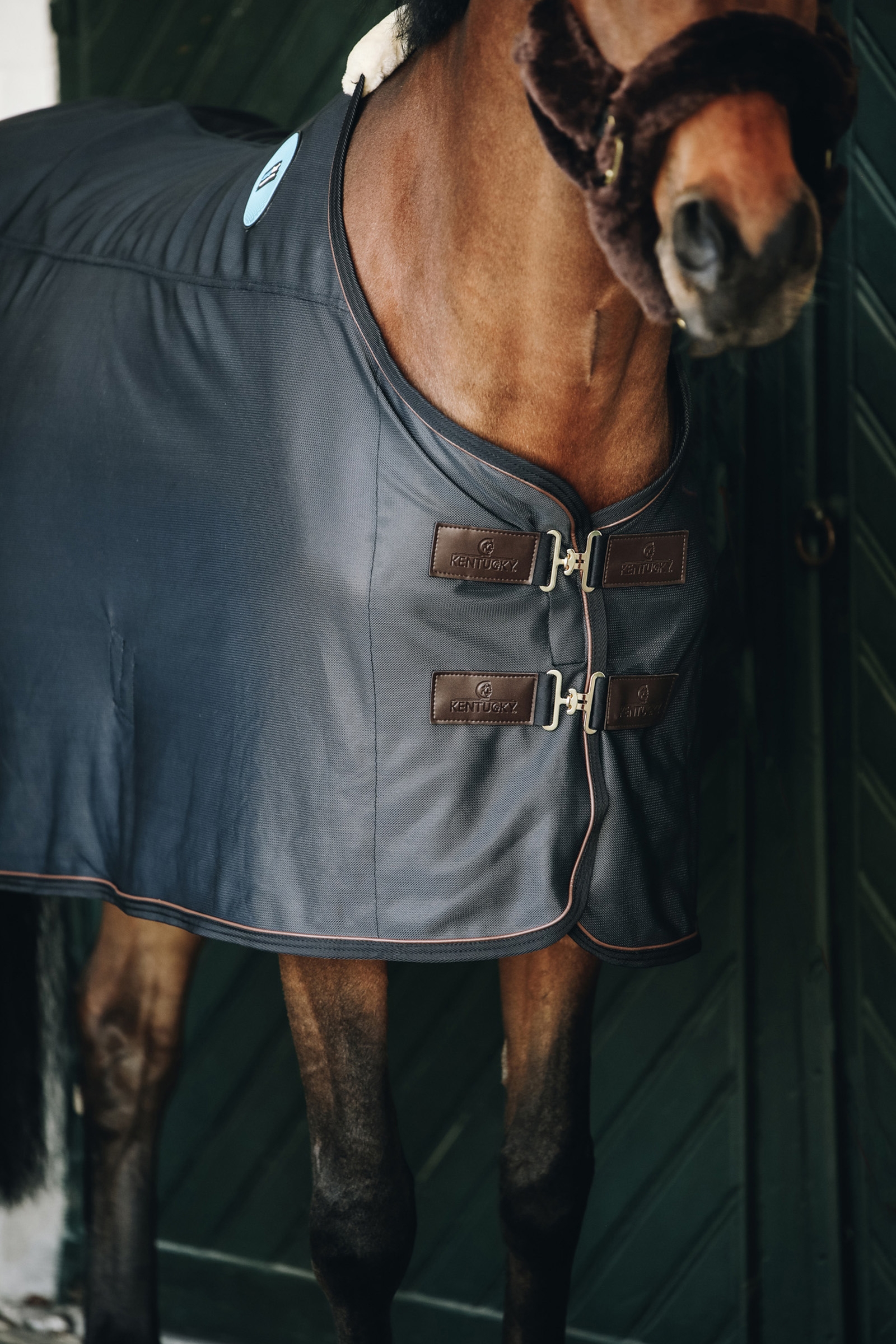 Manta magn&eacute;tica Kentucky Horsewear Tiny Recuptex