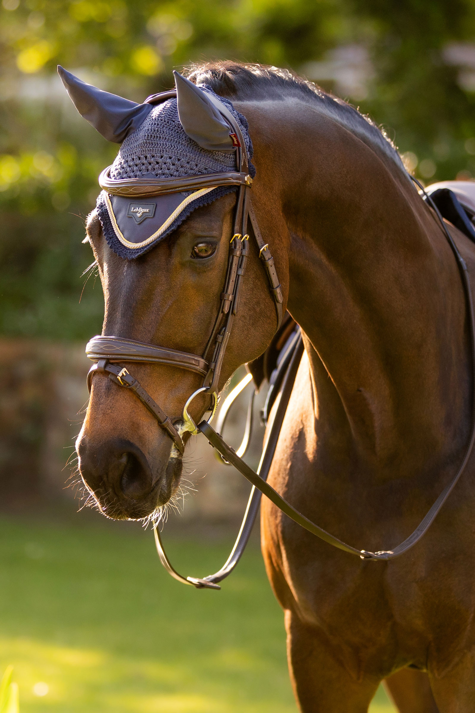 LeMieux Loire Orejeras de satén