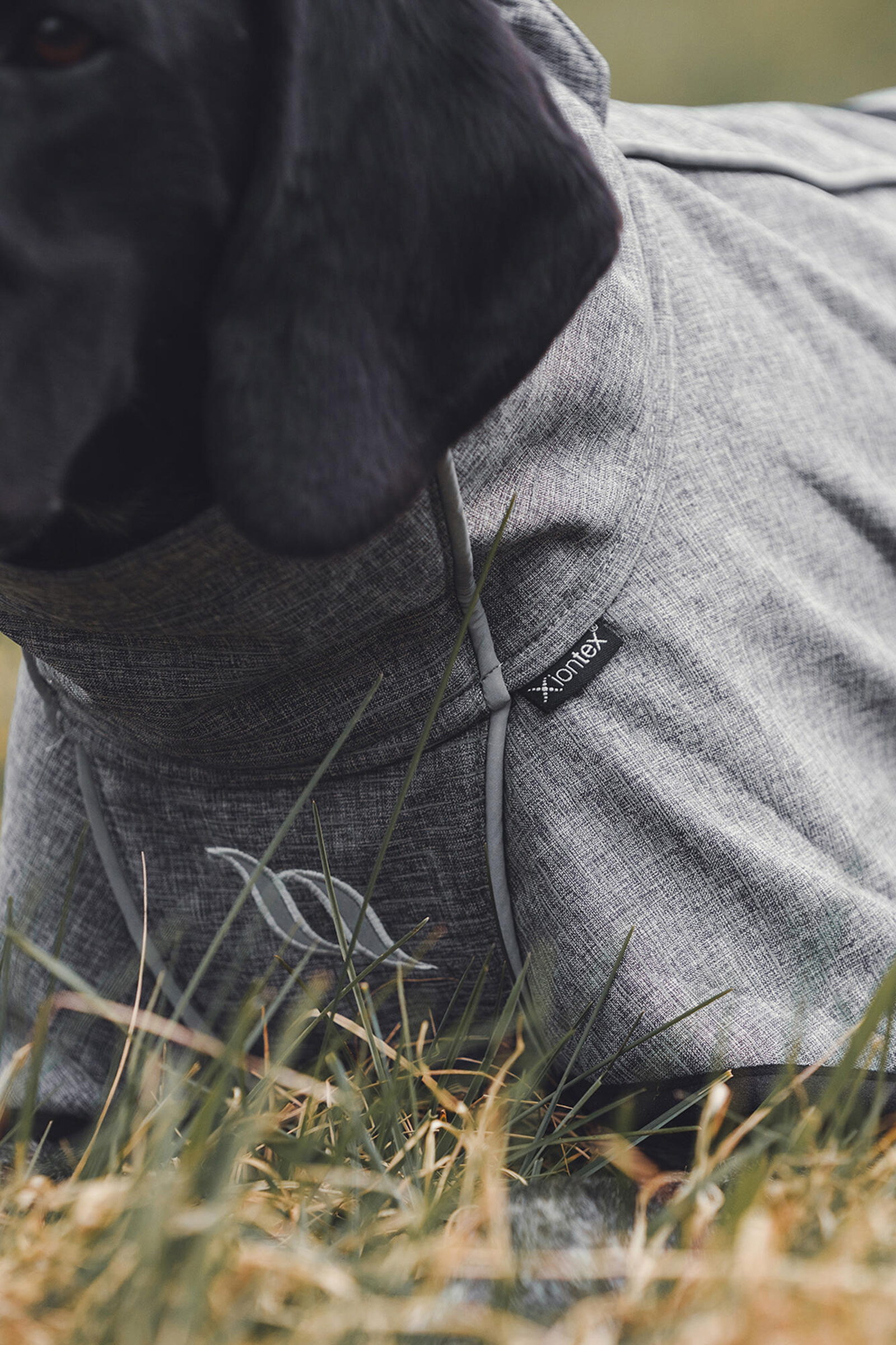 Abrigo para Perro Uso General Back on Track Bark, 70-80cm