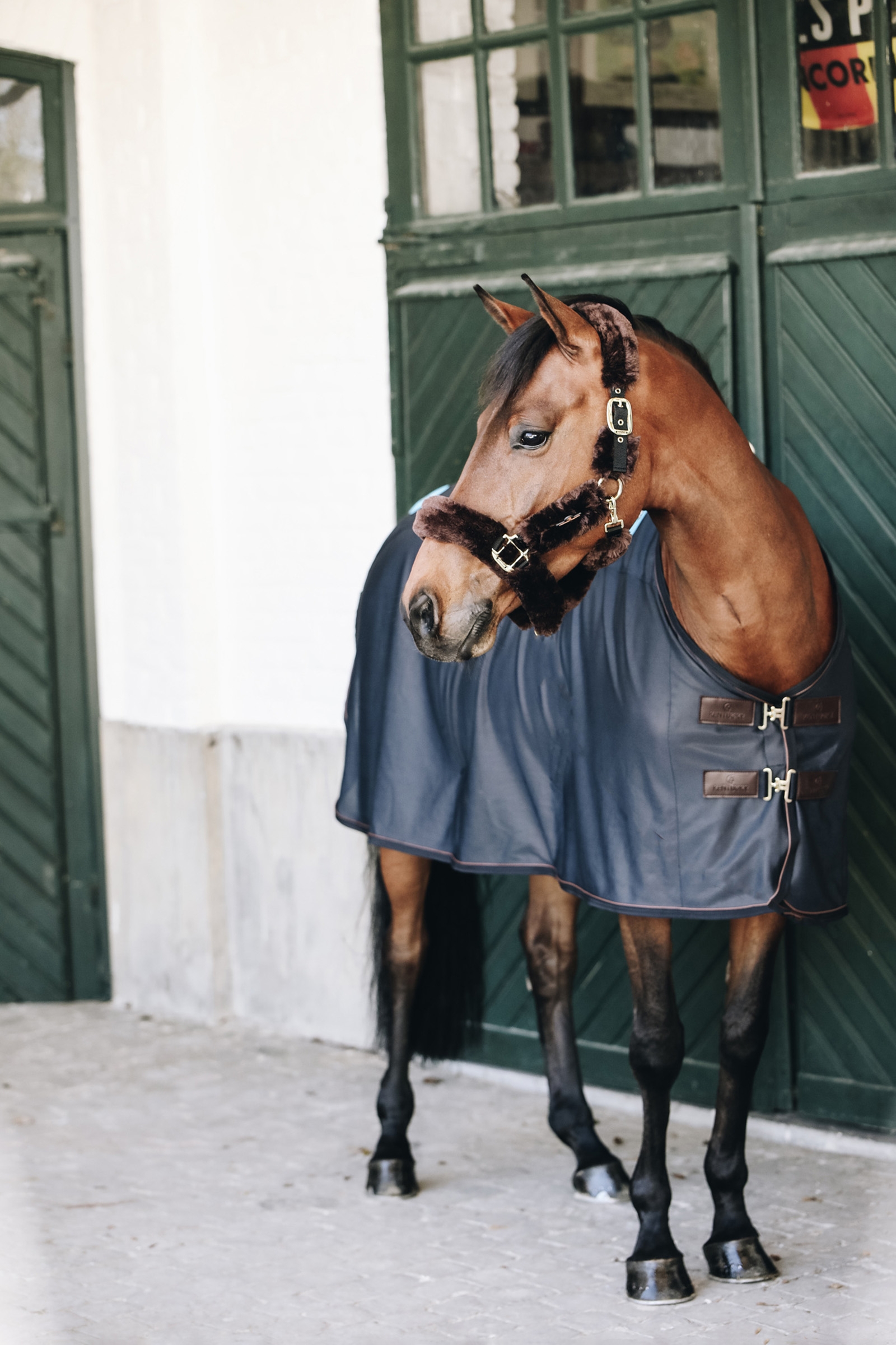 Manta magn&eacute;tica Kentucky Horsewear Tiny Recuptex