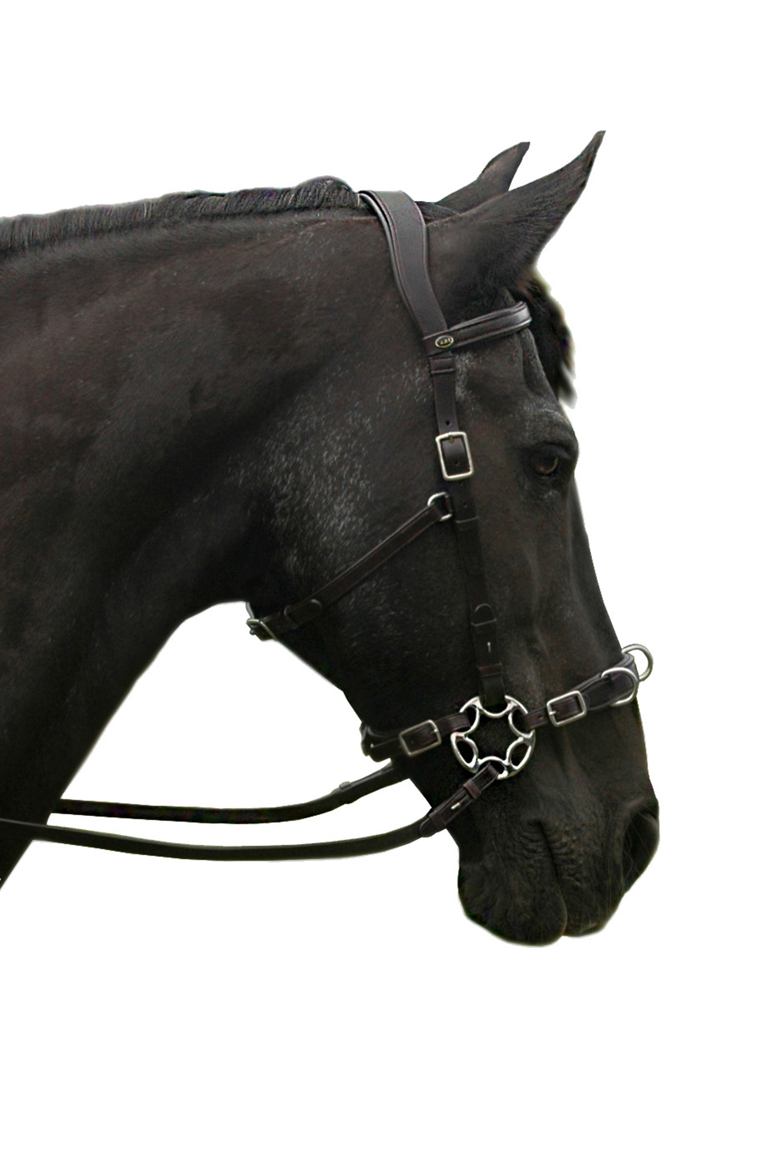 F.R.A. Freedom Riding Articles Caval Compl. Brida Cavemore (Syst.2) con tijeras y riendas