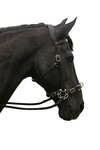 F.R.A. Freedom Riding Articles Caval Compl. Brida Cavemore (Syst.2) con tijeras y riendas