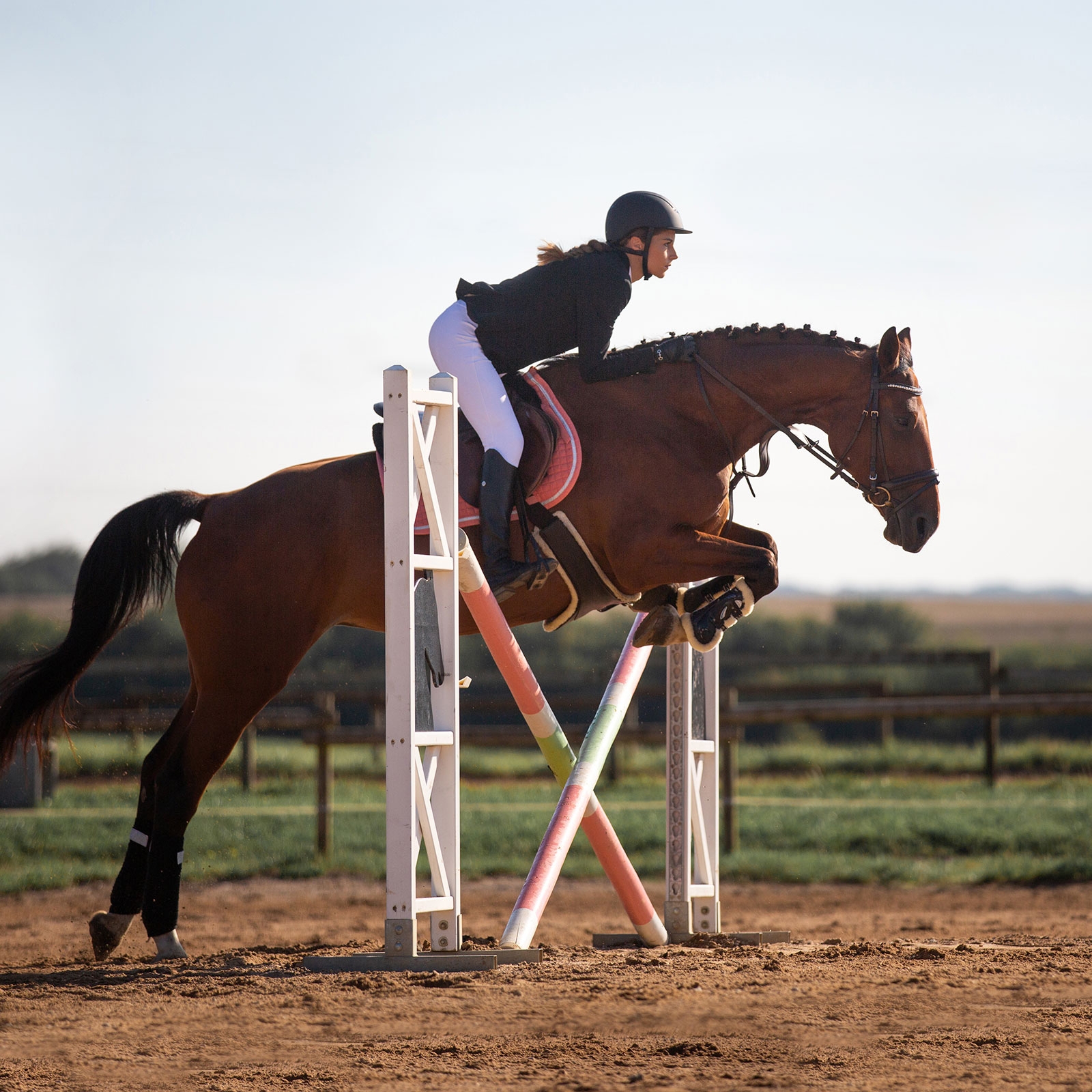 Cincha Barriguera con forro polar Horze Atlanta