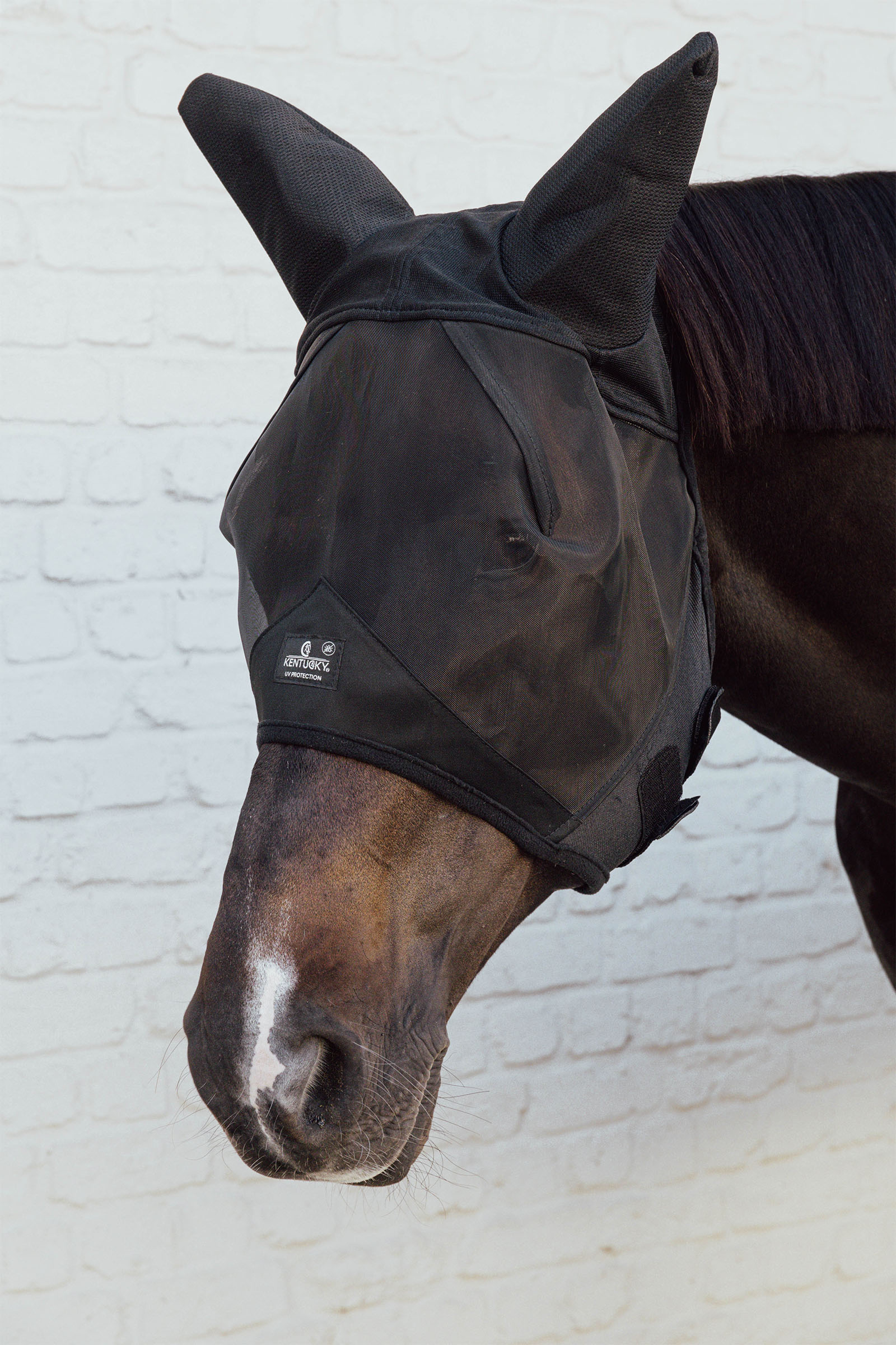 Kentucky Horsewear máscara antimoscas con orejas insonorizadas