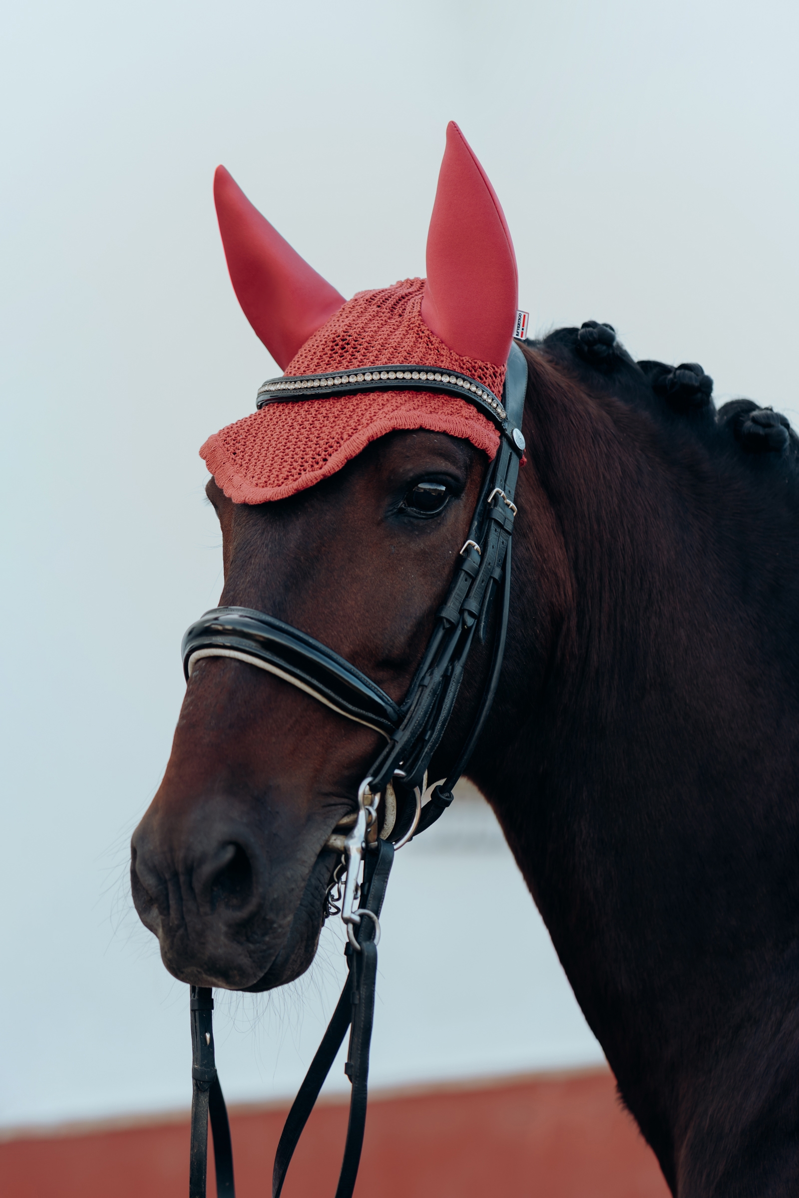 Orejeras B Vertigo Laurel