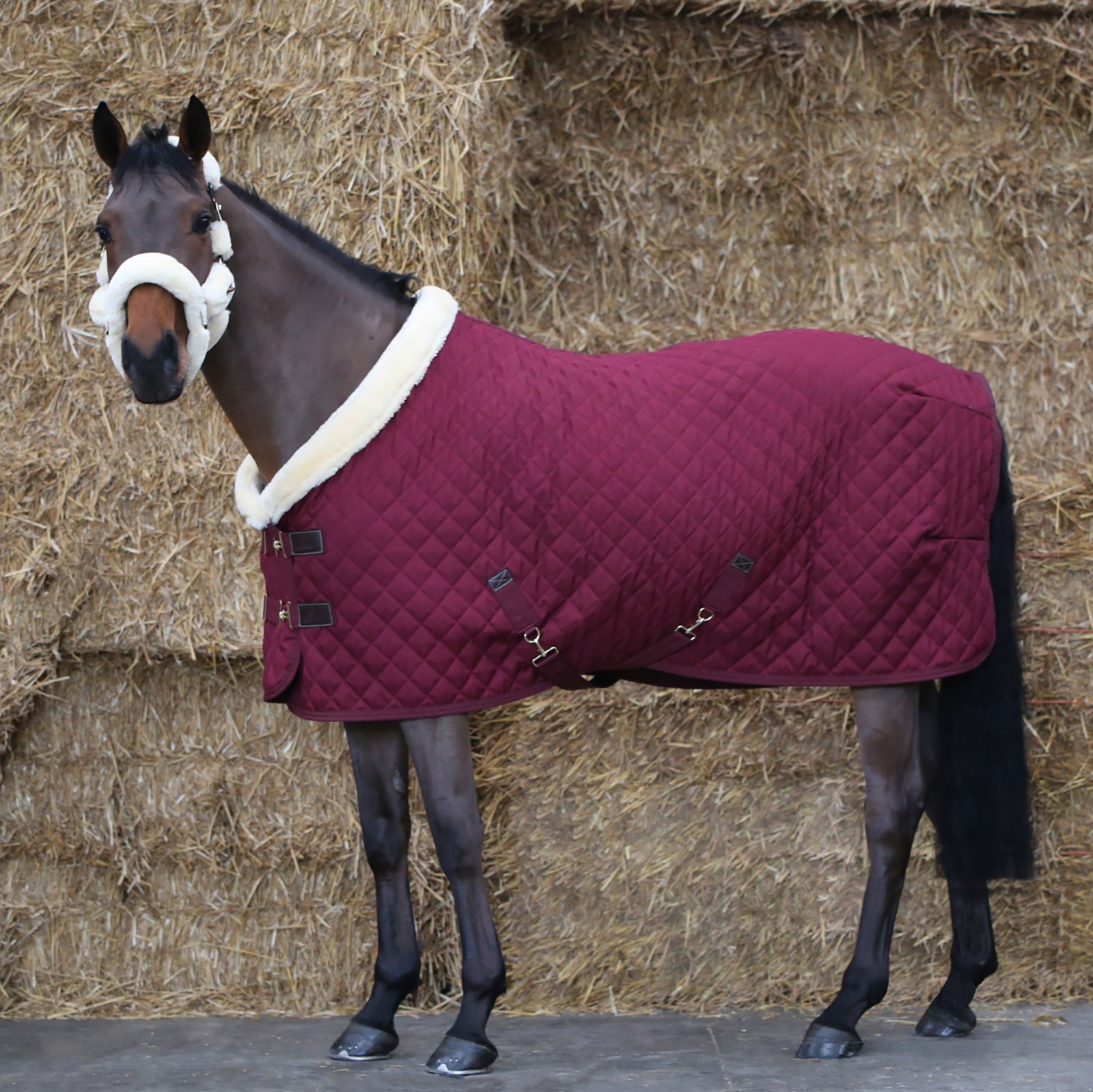 Dark Red Kentucky Horsewear Show Manta, 160g