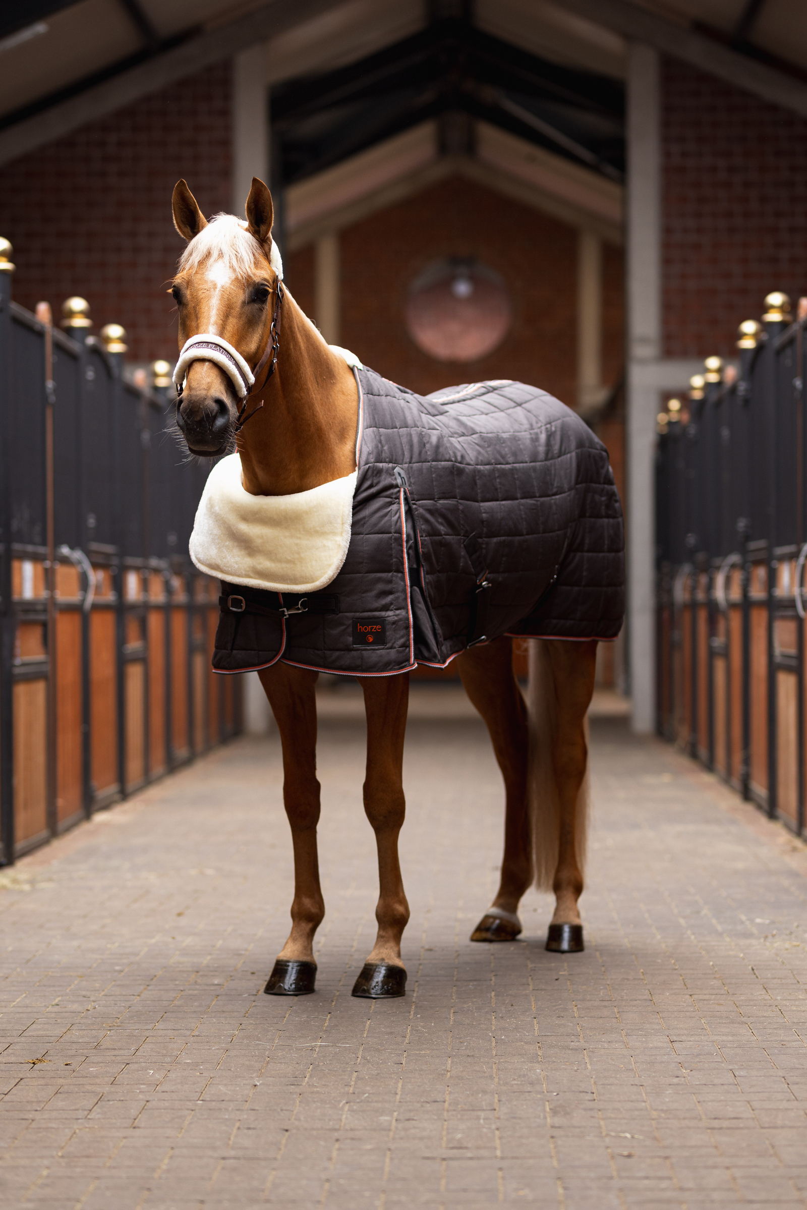 Cozy through Autumn in Burgundy Brown
