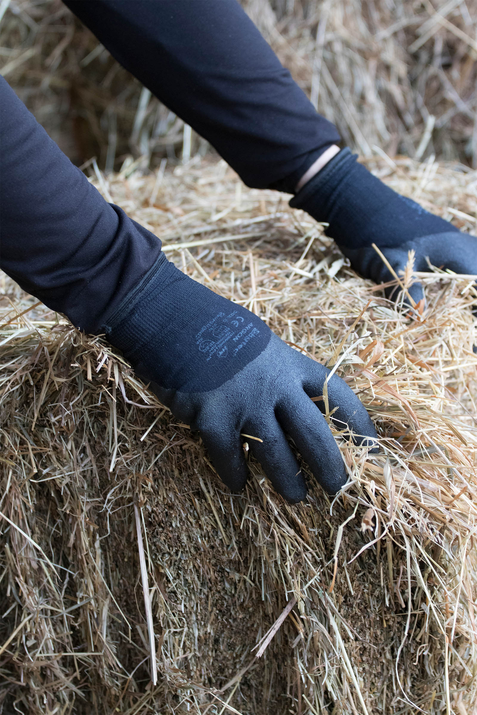 LeMieux Thermo Working Gloves