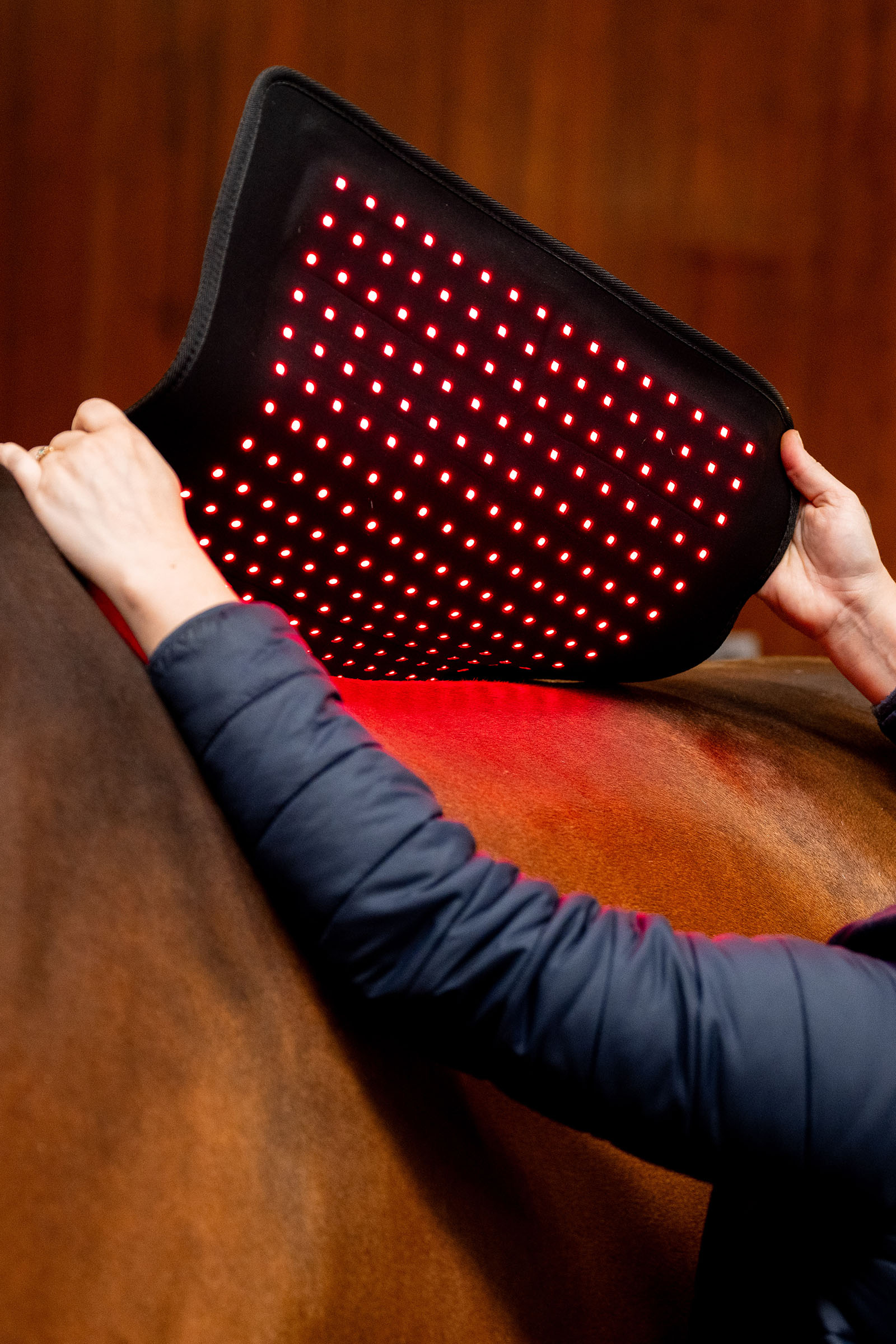 Horseware Pad terap&eacute;utico LED de luz roja