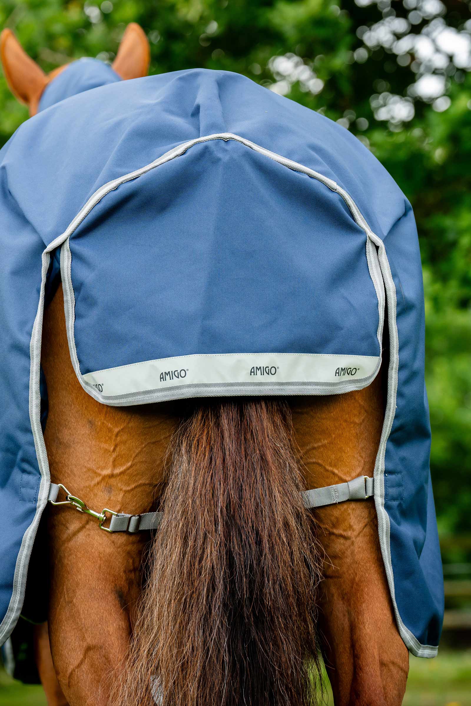 Horseware Amigo Bravo 12 Plus manta de exterior, 250 g