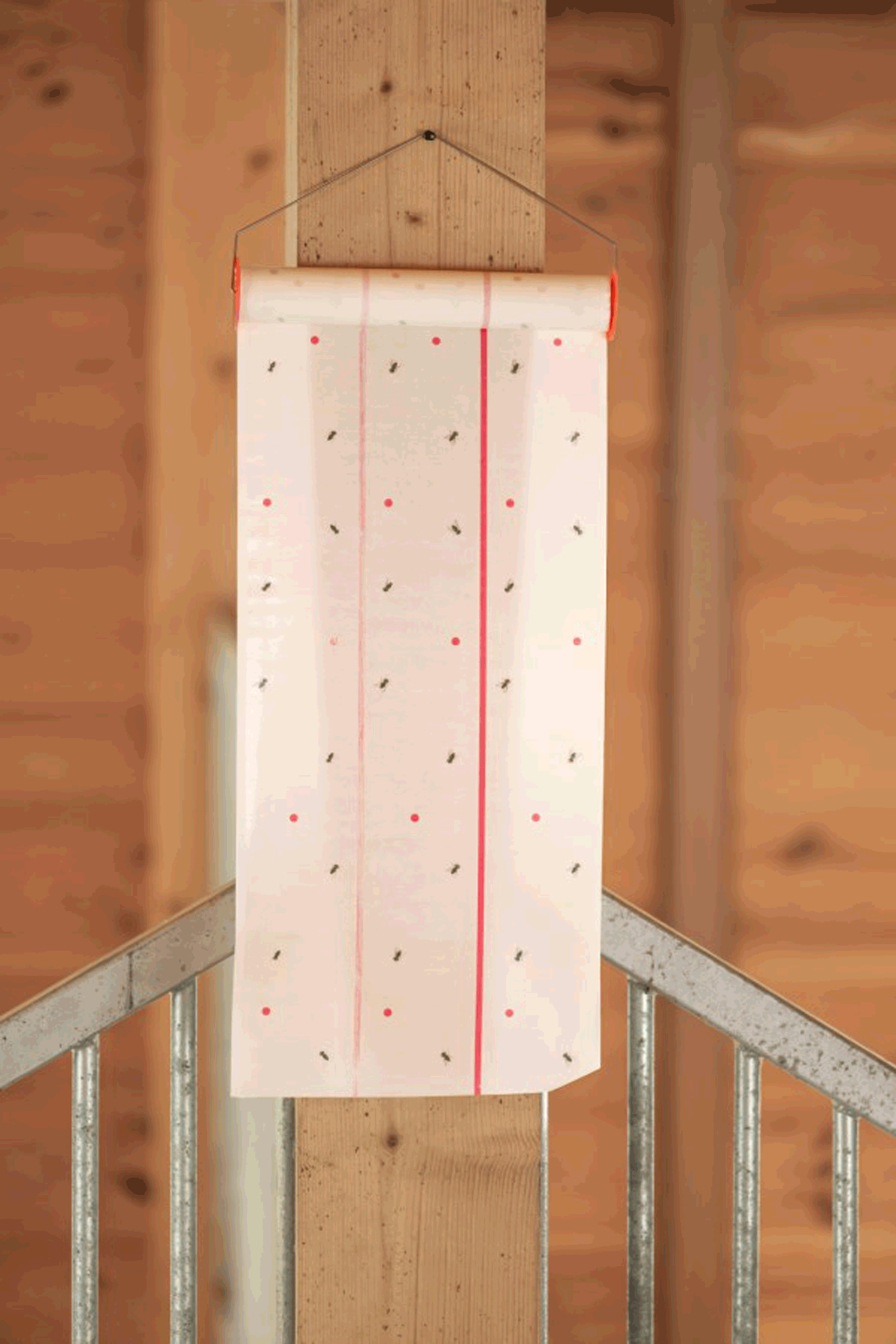 Trampa para moscas Kerbl Cit MuscaRoll, 10 m