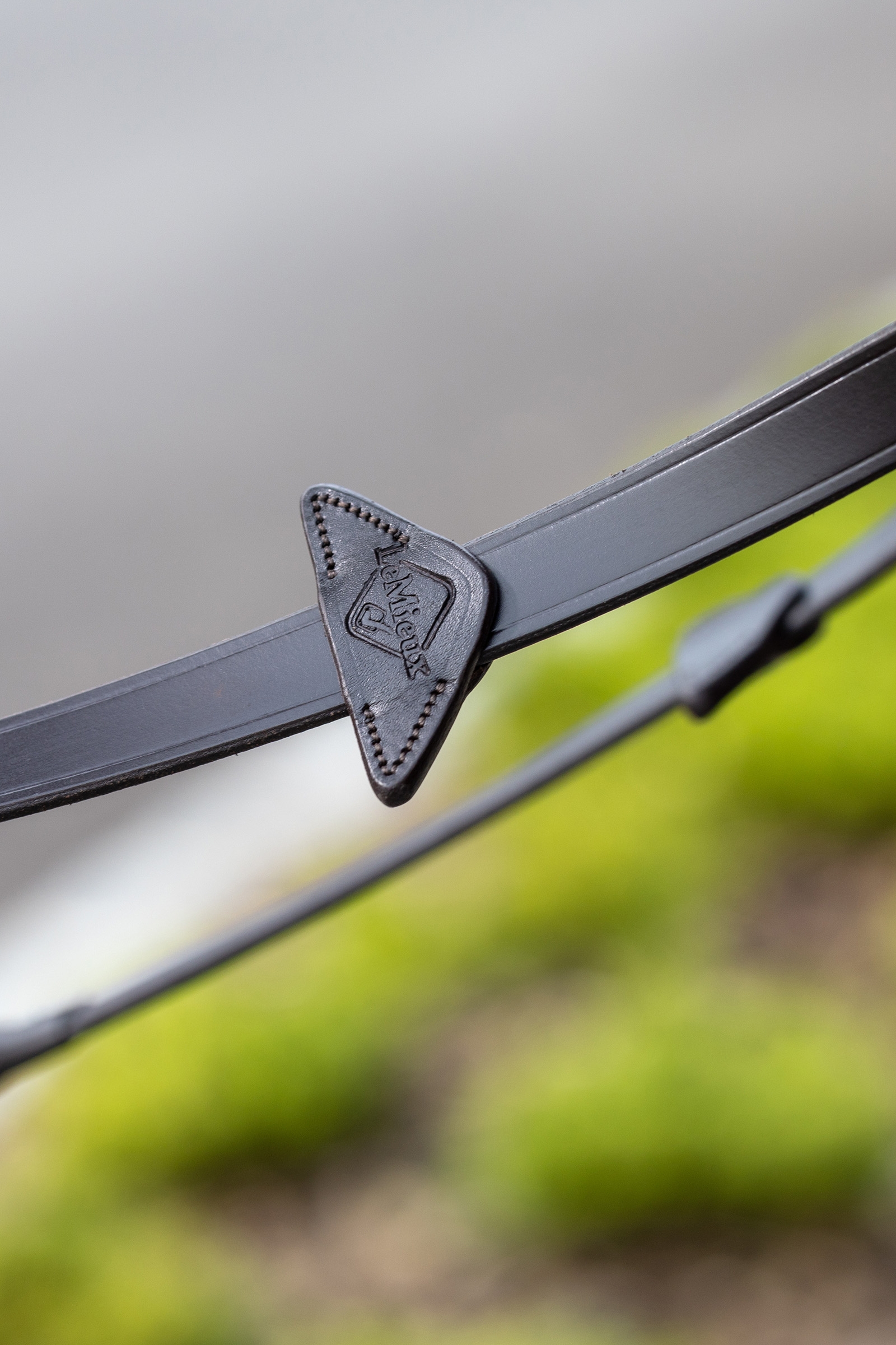 Riendas de Goma LeMieux