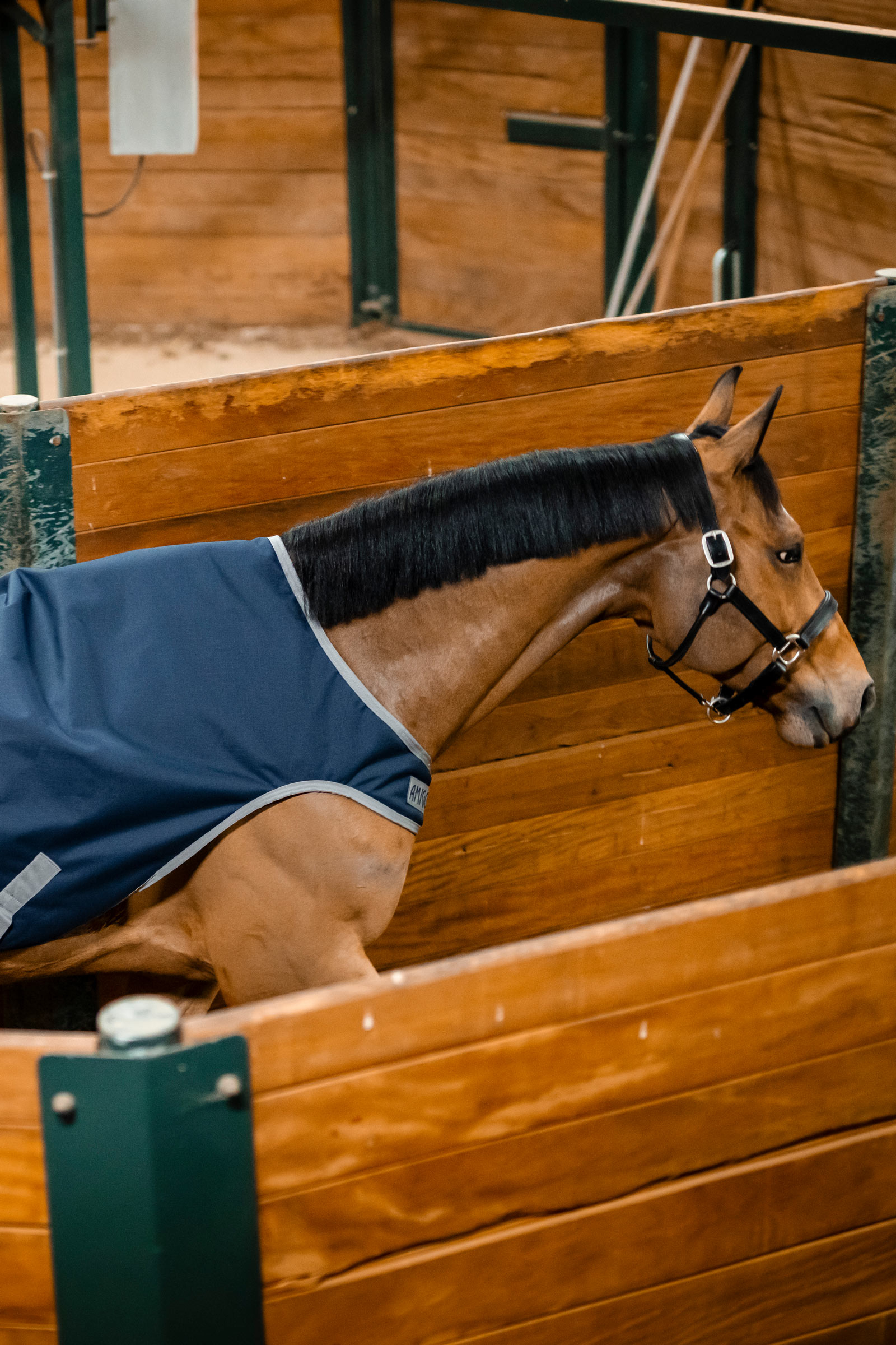 Horseware Amigo Ripstop 900D Walker manta, 100 g