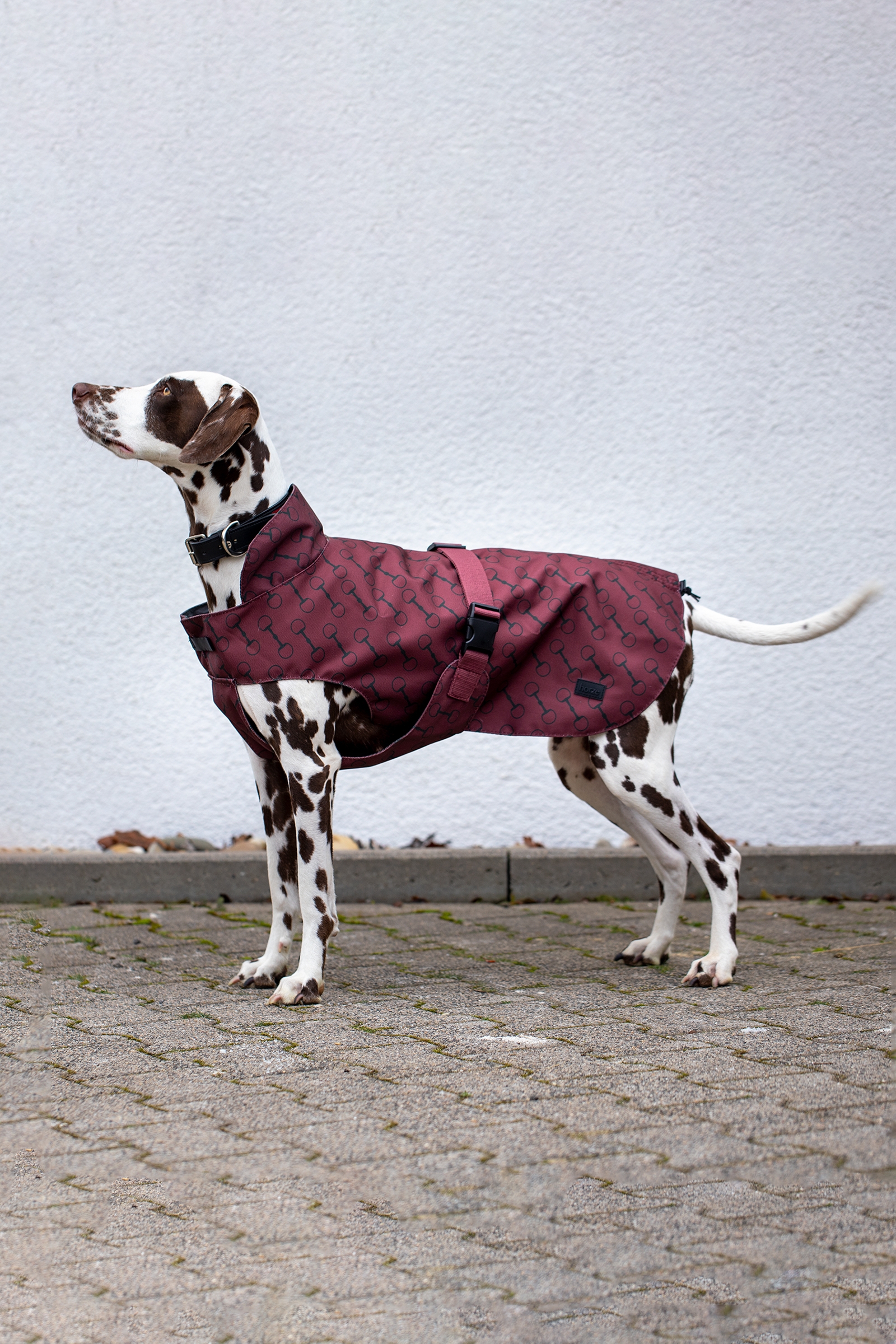 Burgundy Red Mahogany Abrigo con Estampado para Perro Horze Noir