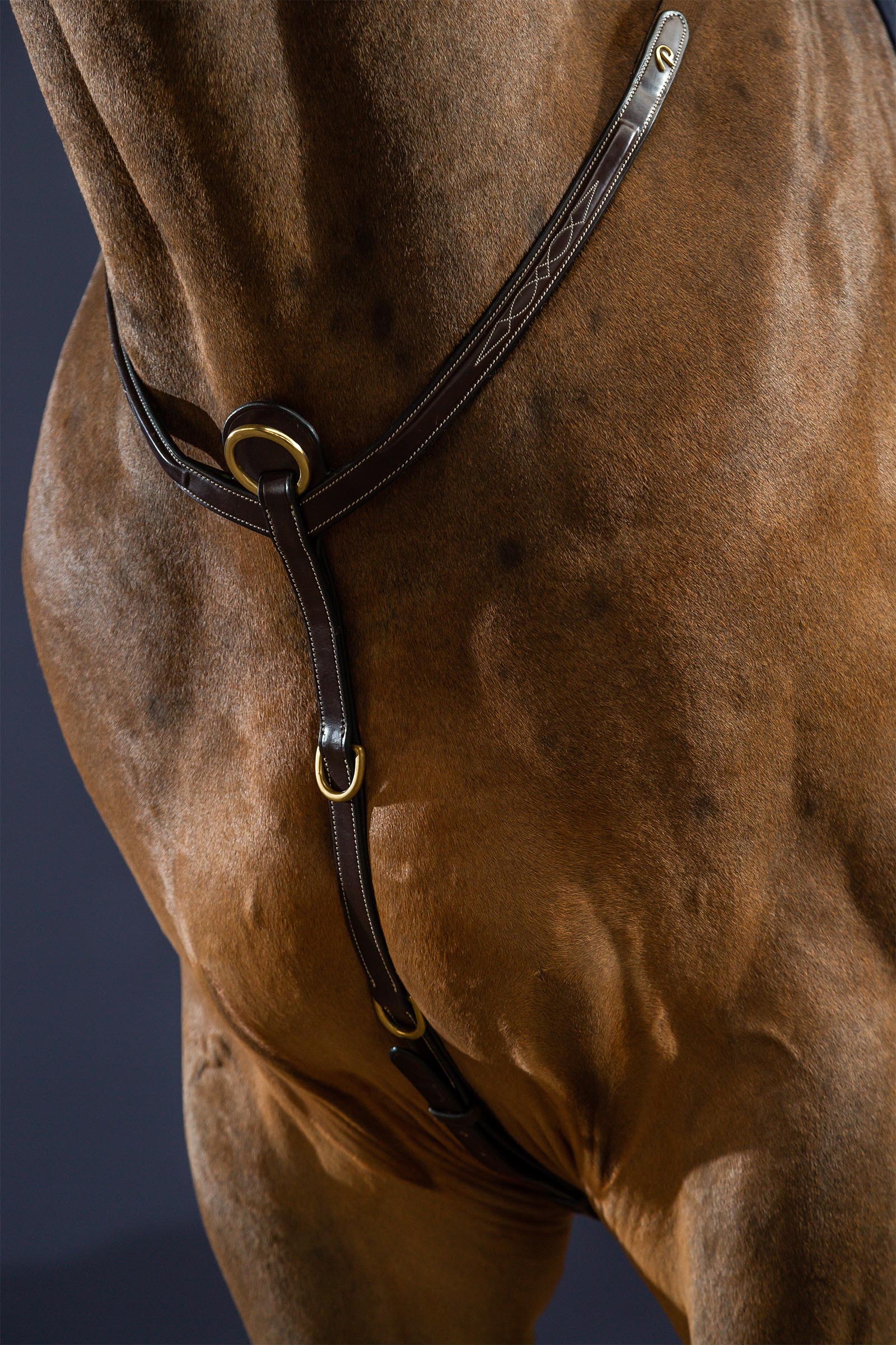 Dy'on D Collection pechopetral con puente