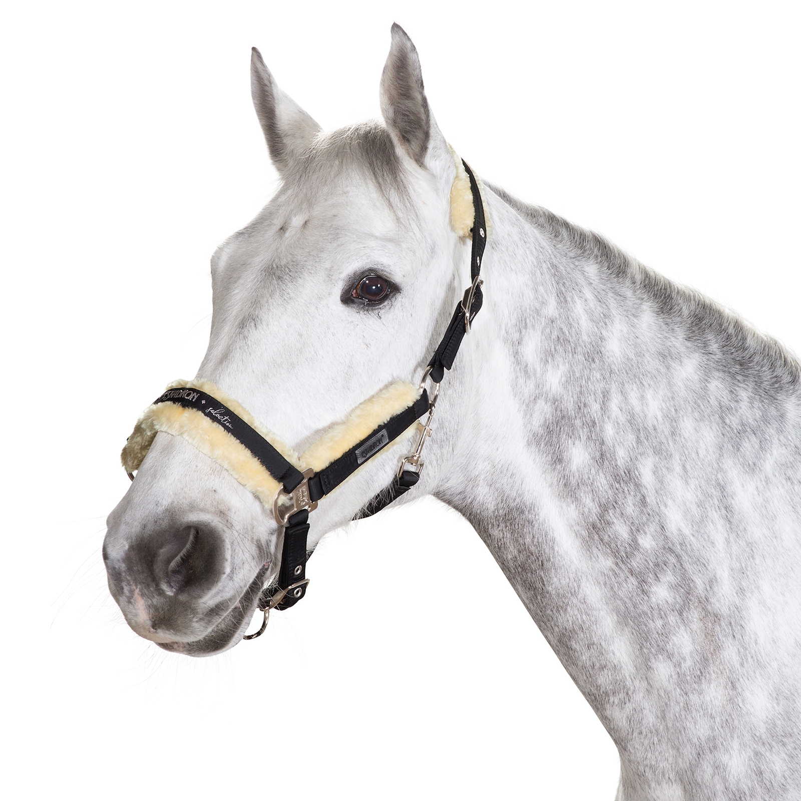 Cabezada de Cuadra Piel Sintético Hebilla Rectangular Eskadron