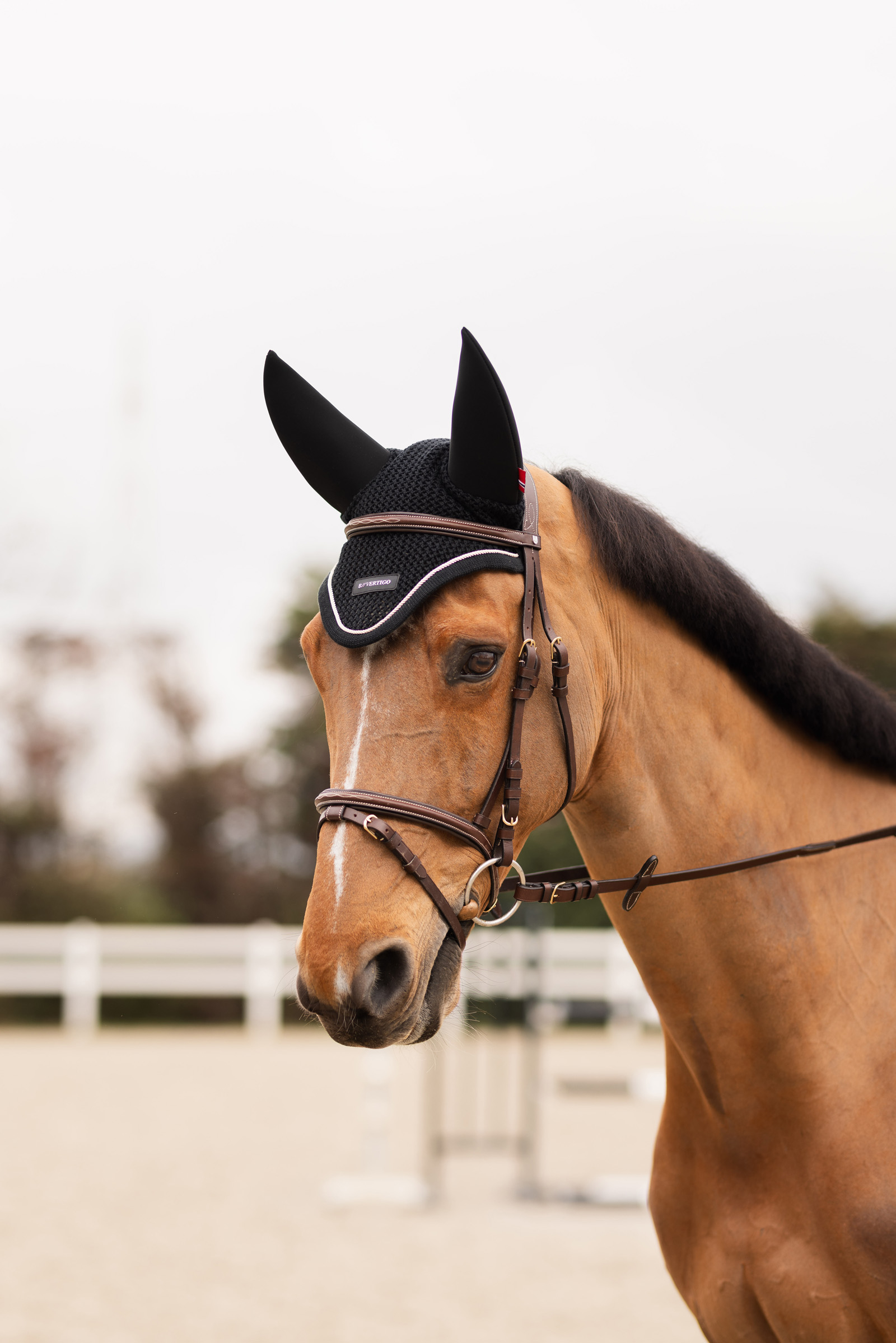 Orejeras B Vertigo Rouge Reflection