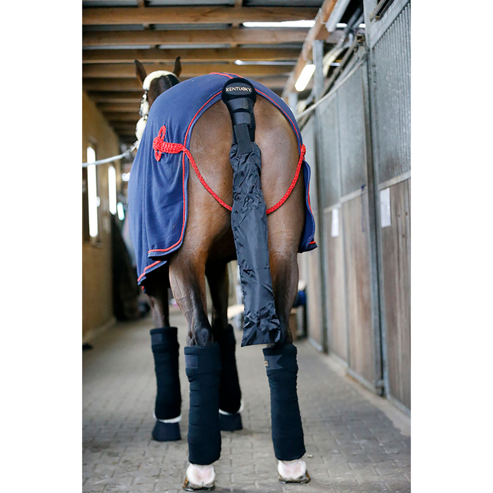 Protector de cola / Bolsa de cola Kentucky Horsewear
