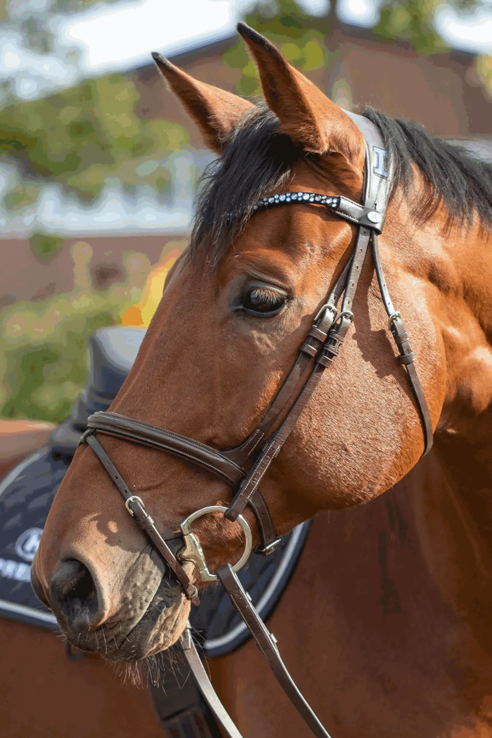 Sprenger Novocontact Filete De Oliva 14mm De Articulación Simple Sensogan Con Anillos En Forma De D