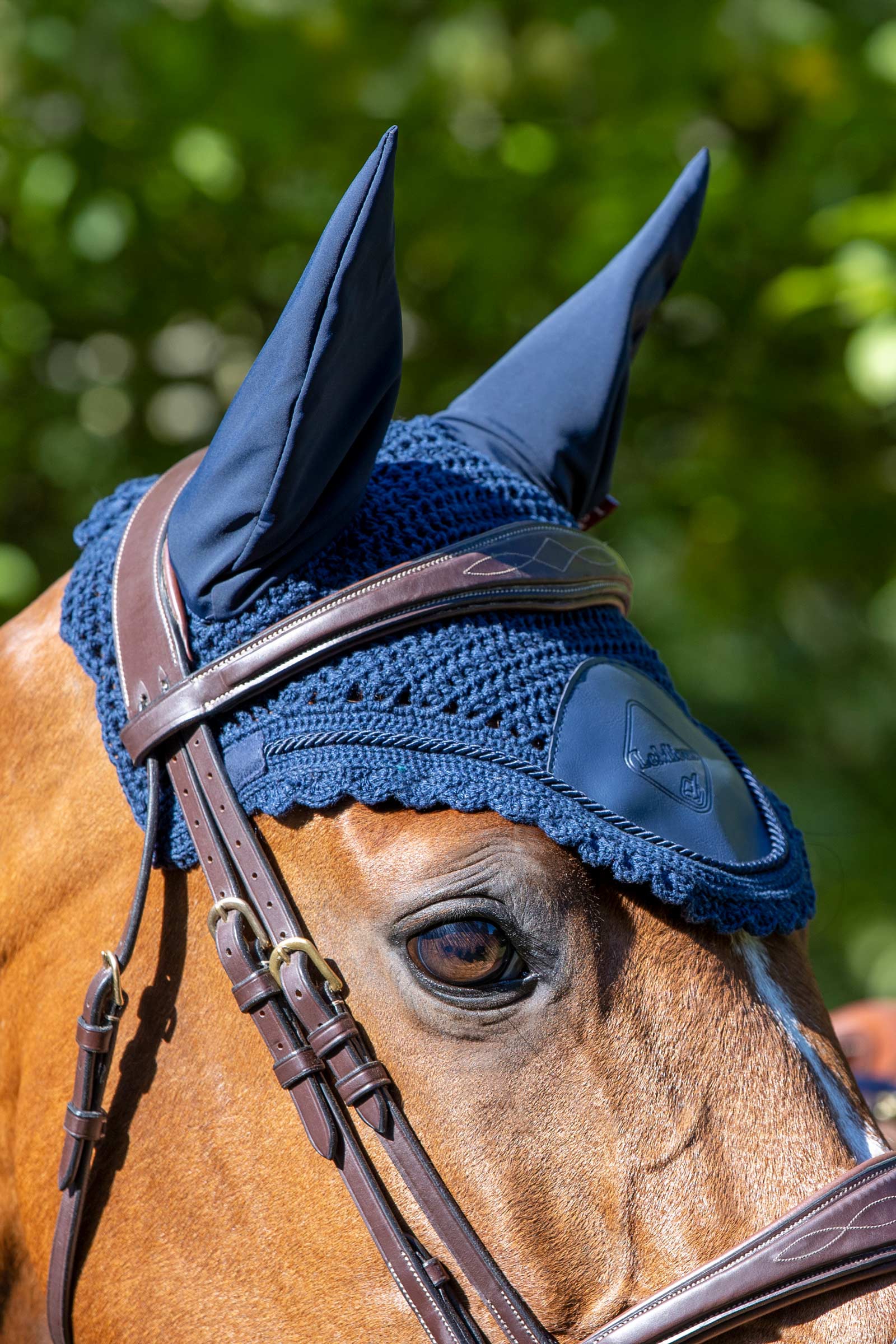 LeMieux Elite m&aacute;scara o orejeras