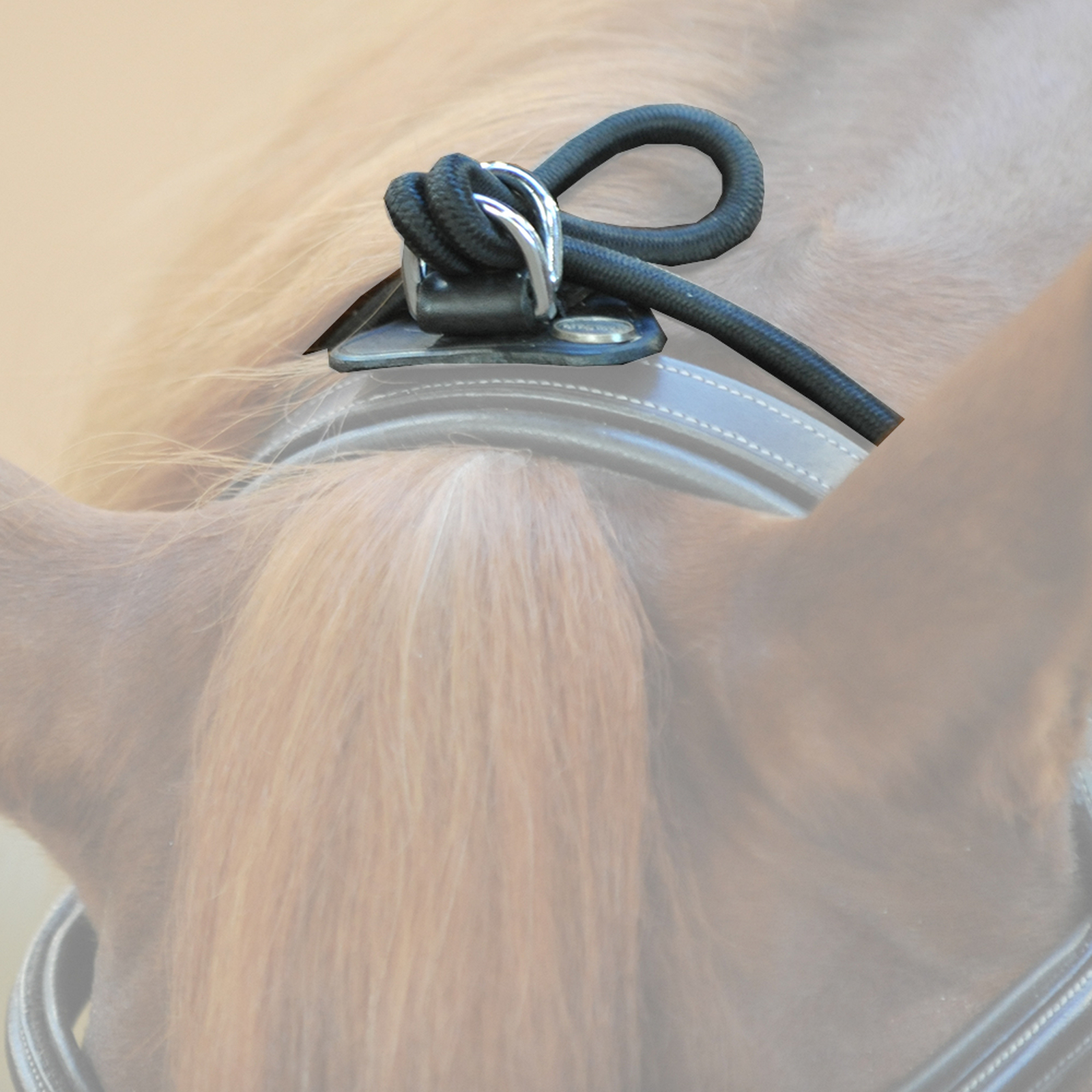 Kavalkade Bungie, el&aacute;stico